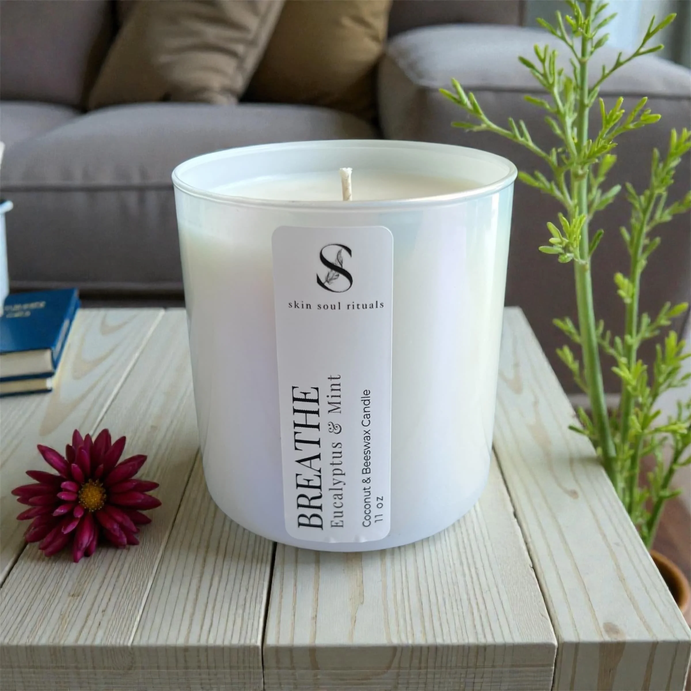 Photoroom_20260213_134704 2.jpg