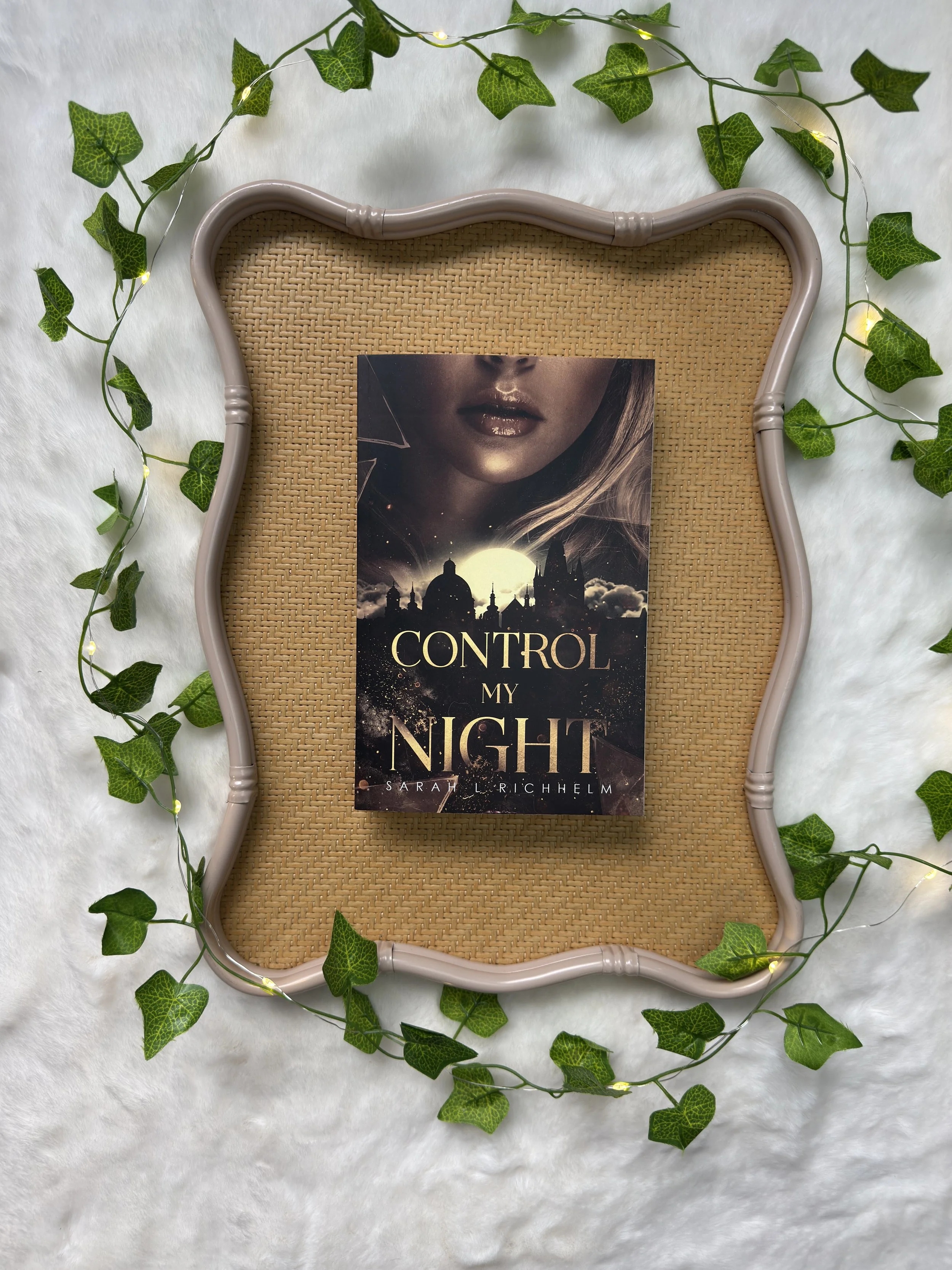Control My Night by Sarah L Richhelm