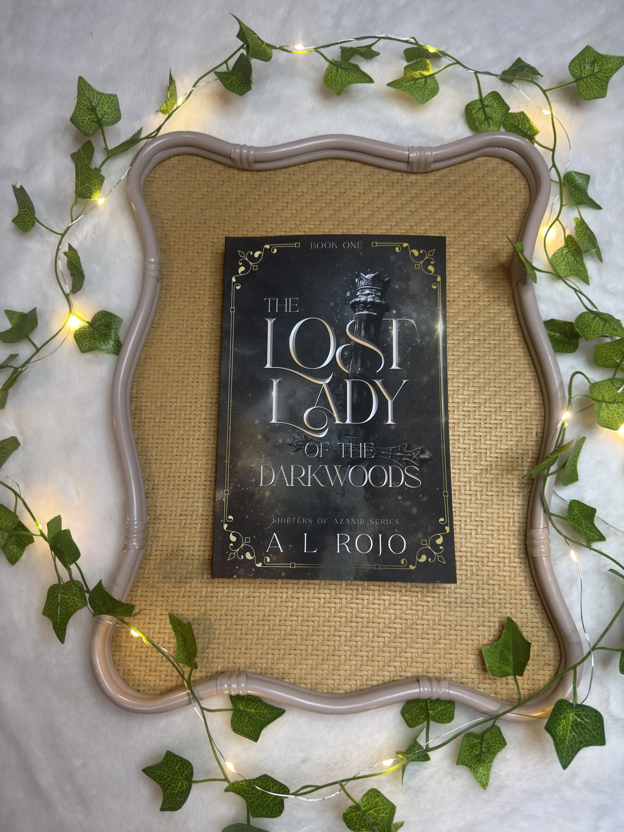The Lost Lady of the Darkwoods by A.L Rojo