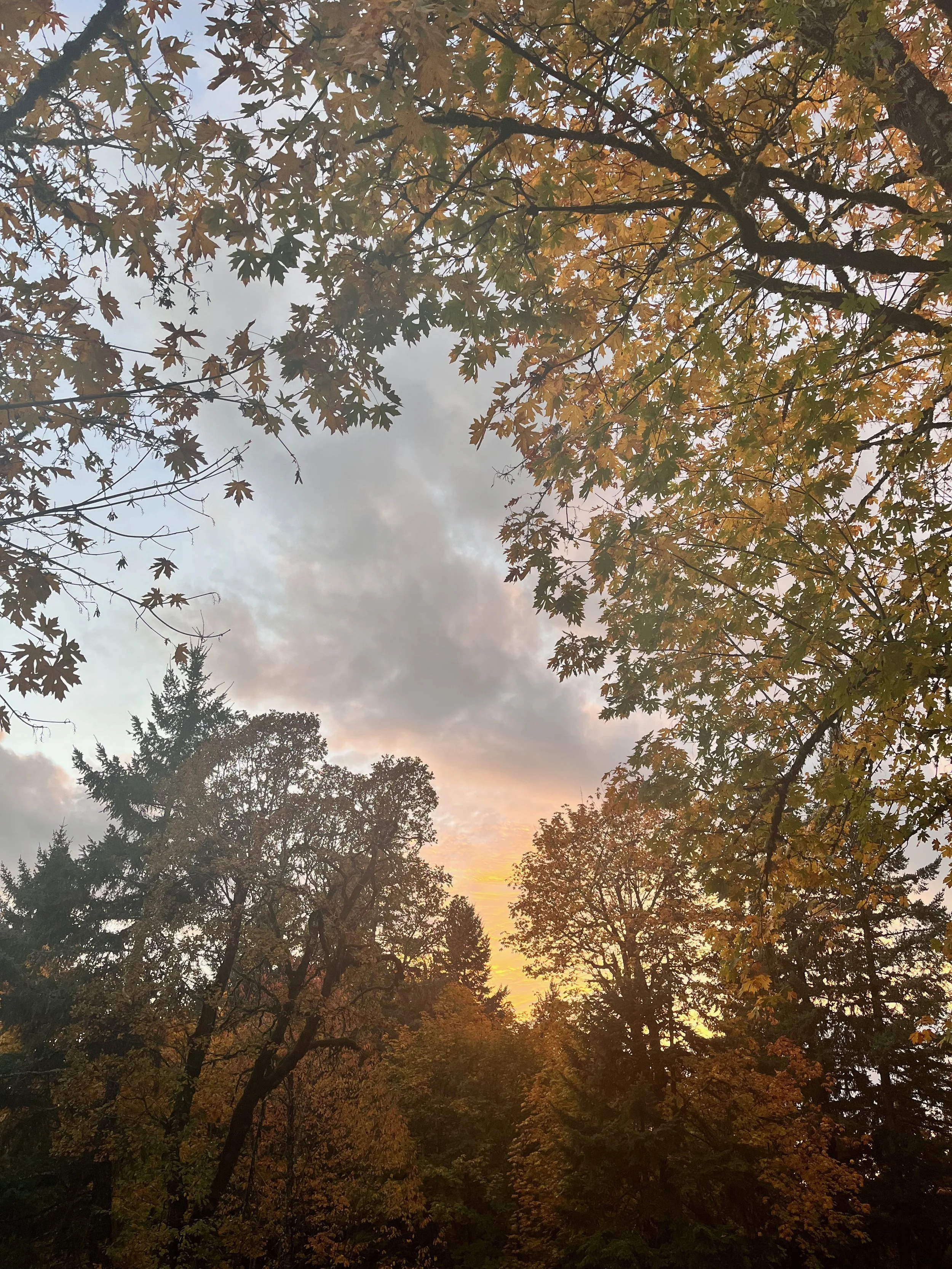 Making Home While Waiting on the House