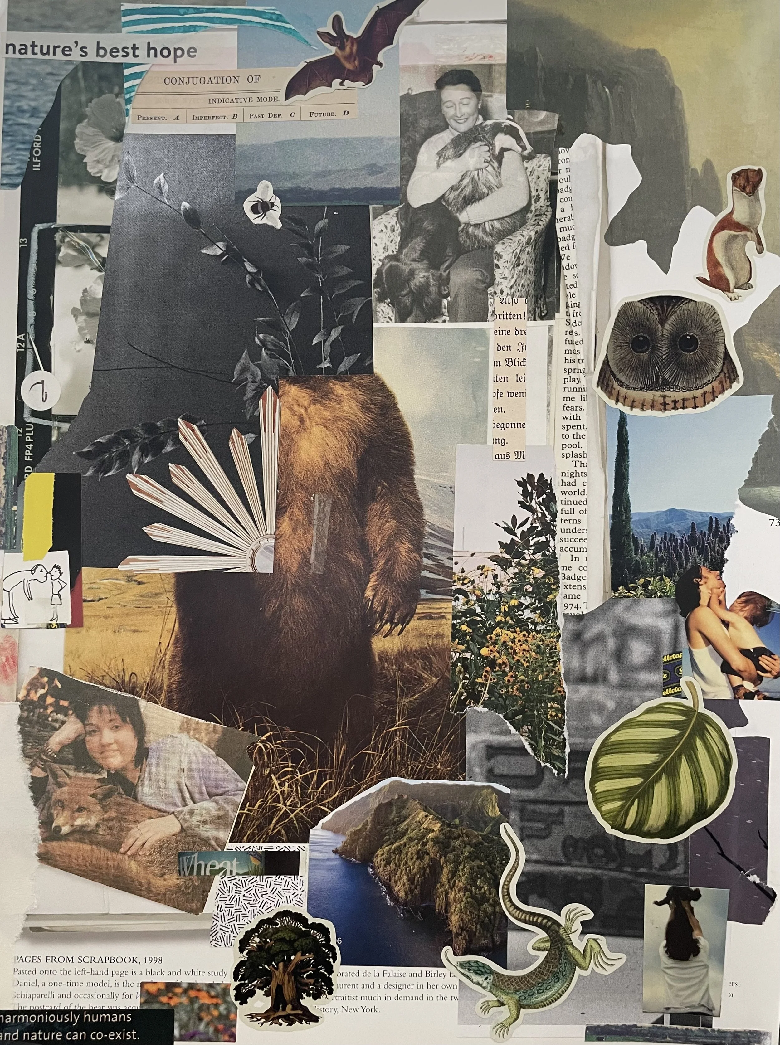 "Mother Bear, Bear Woman" Collage, 2026