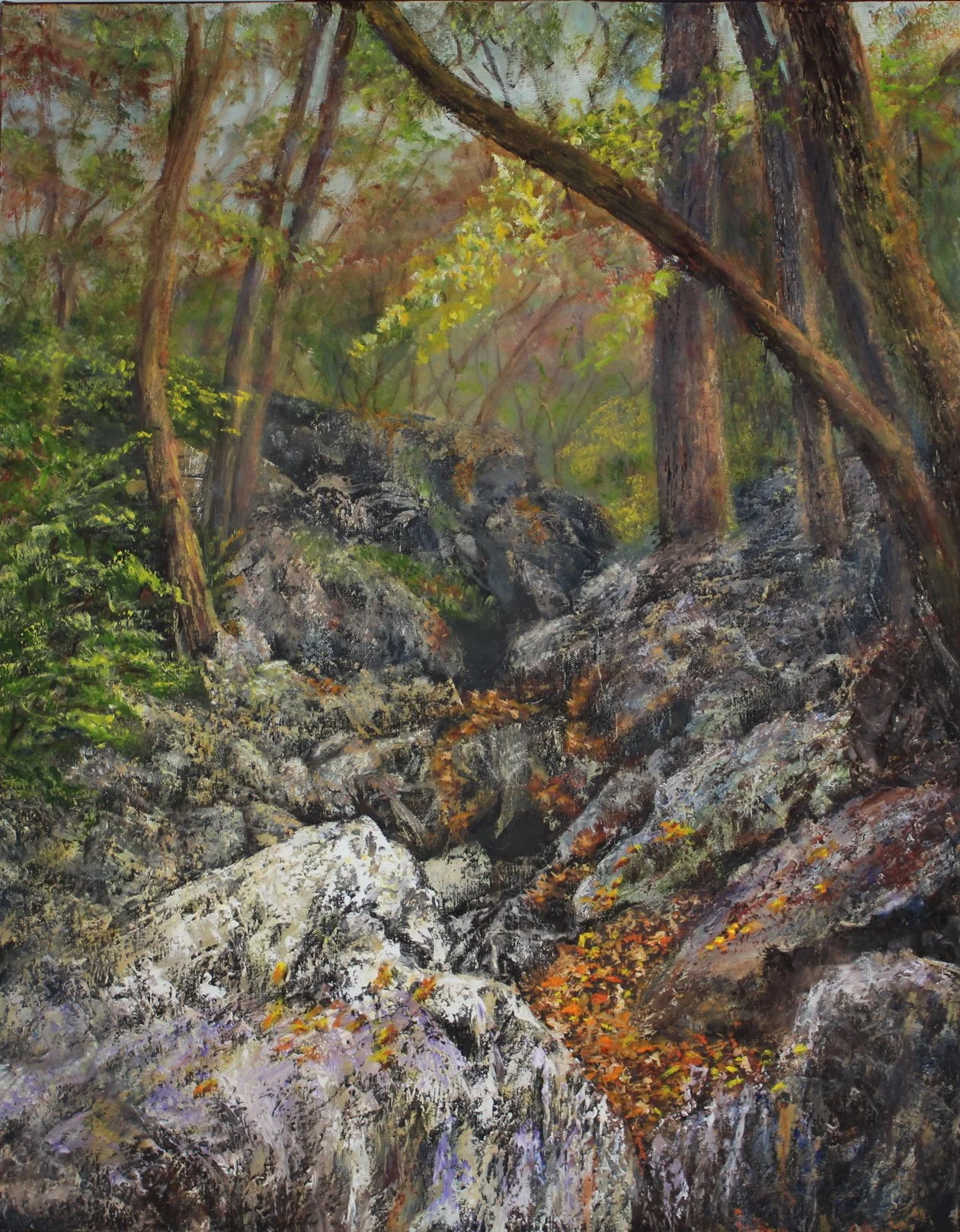 Shoal creek trail (Joplin, MO)