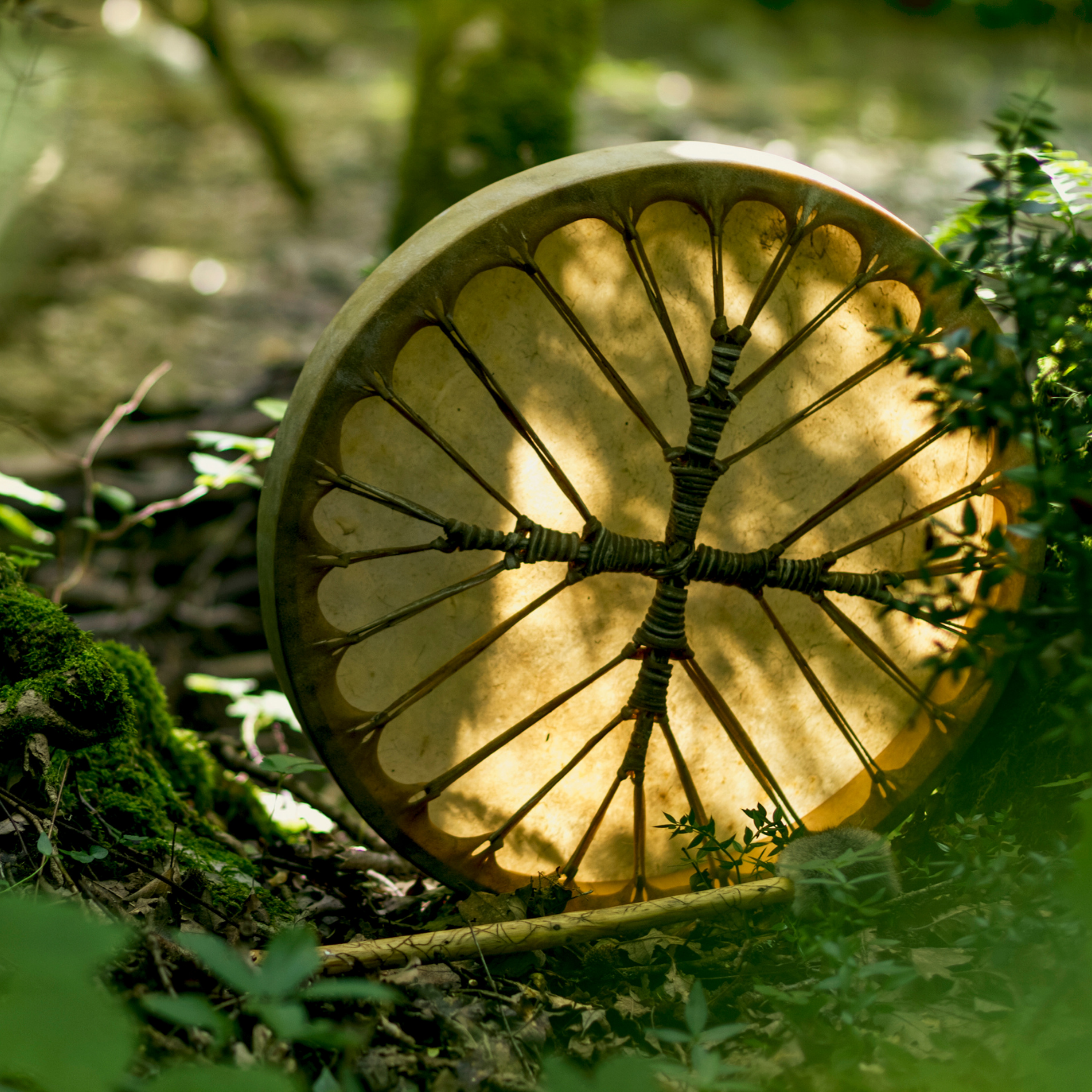 Shamanic Drum.png