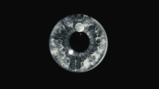 Screenshot 2026-01-23 at 20.57.31.png