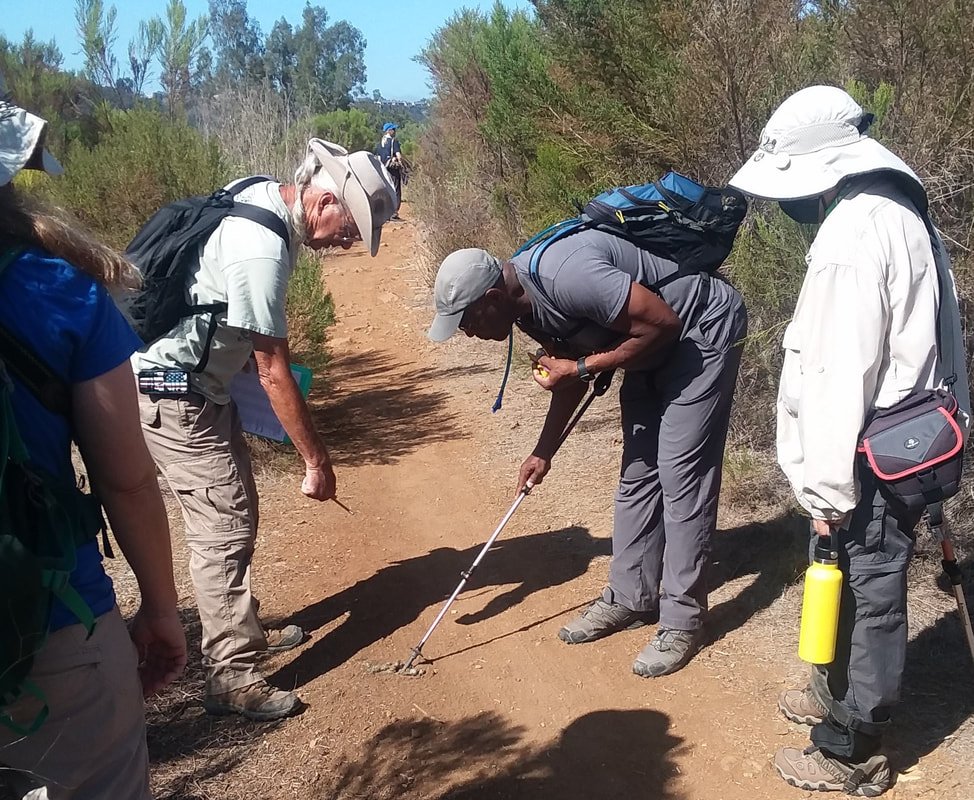 Intermediate Tracker/Naturalist - Online Class