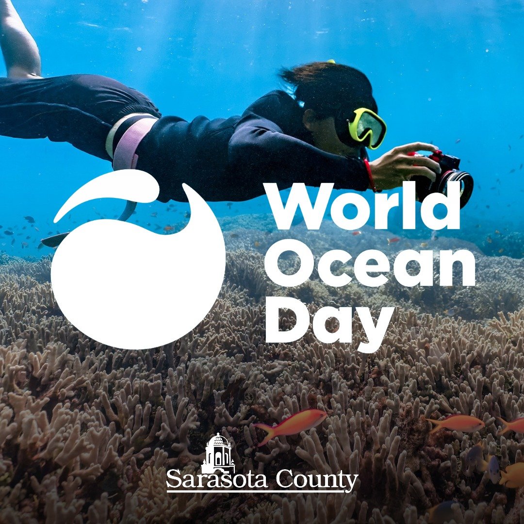 World Oceans Day