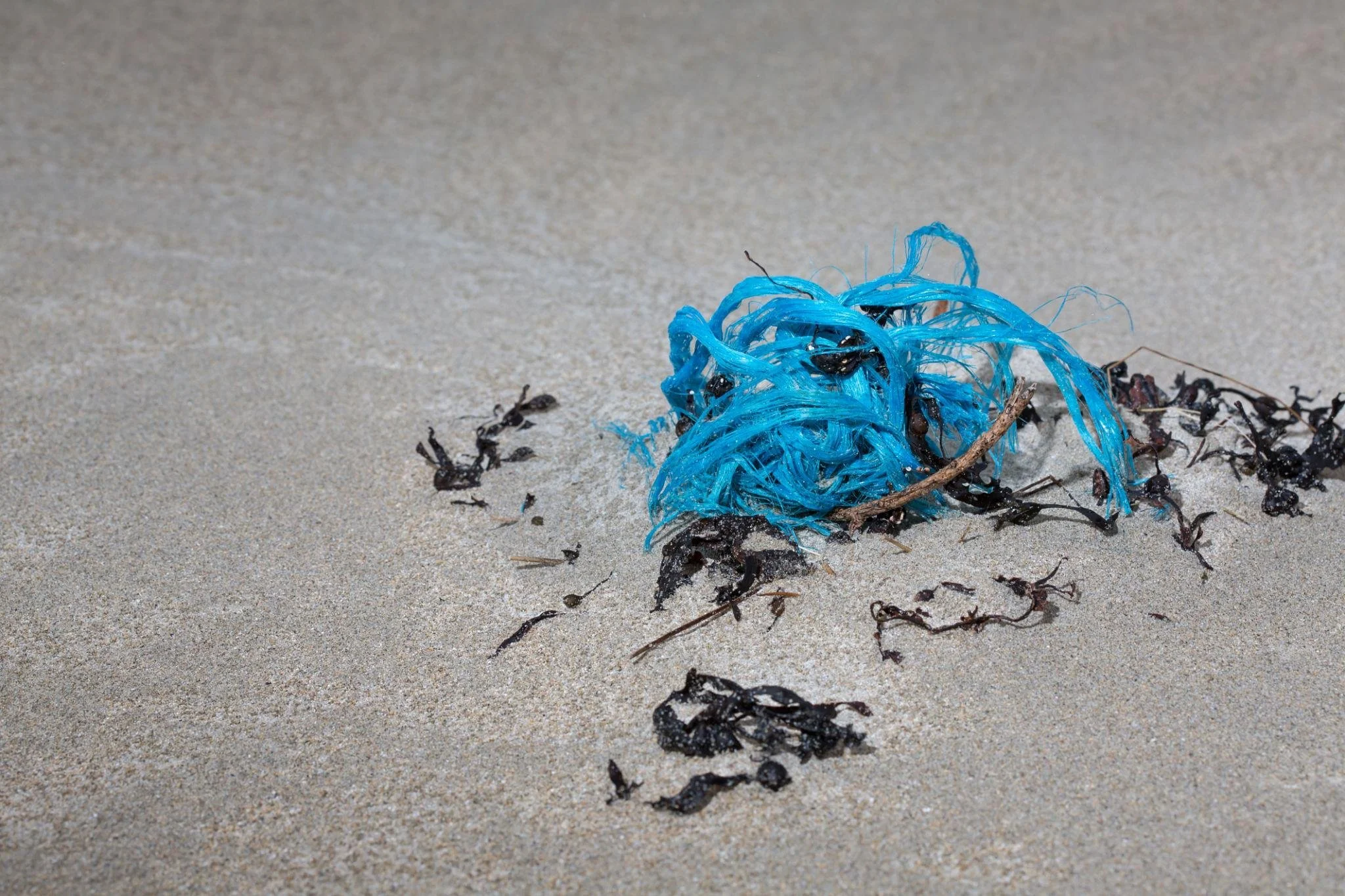 Colorful plastic debris tangled in seaweed on sandy beach.