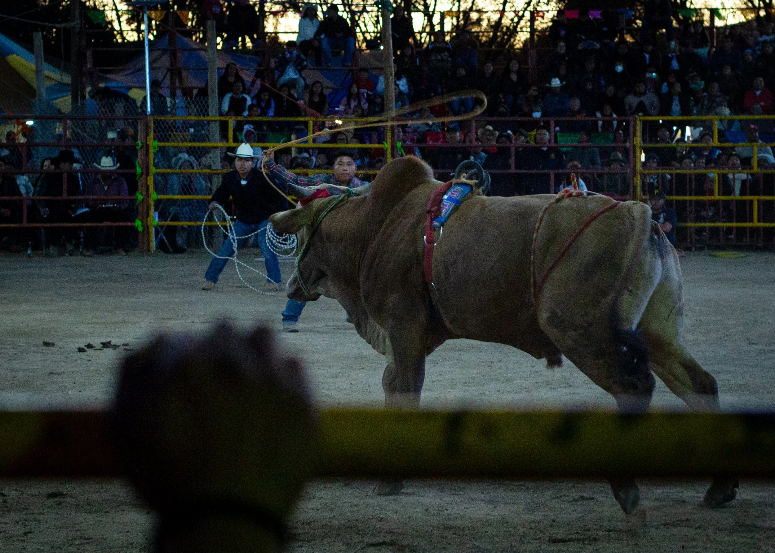 260126_Jaripeo_SanJuan_38.jpg