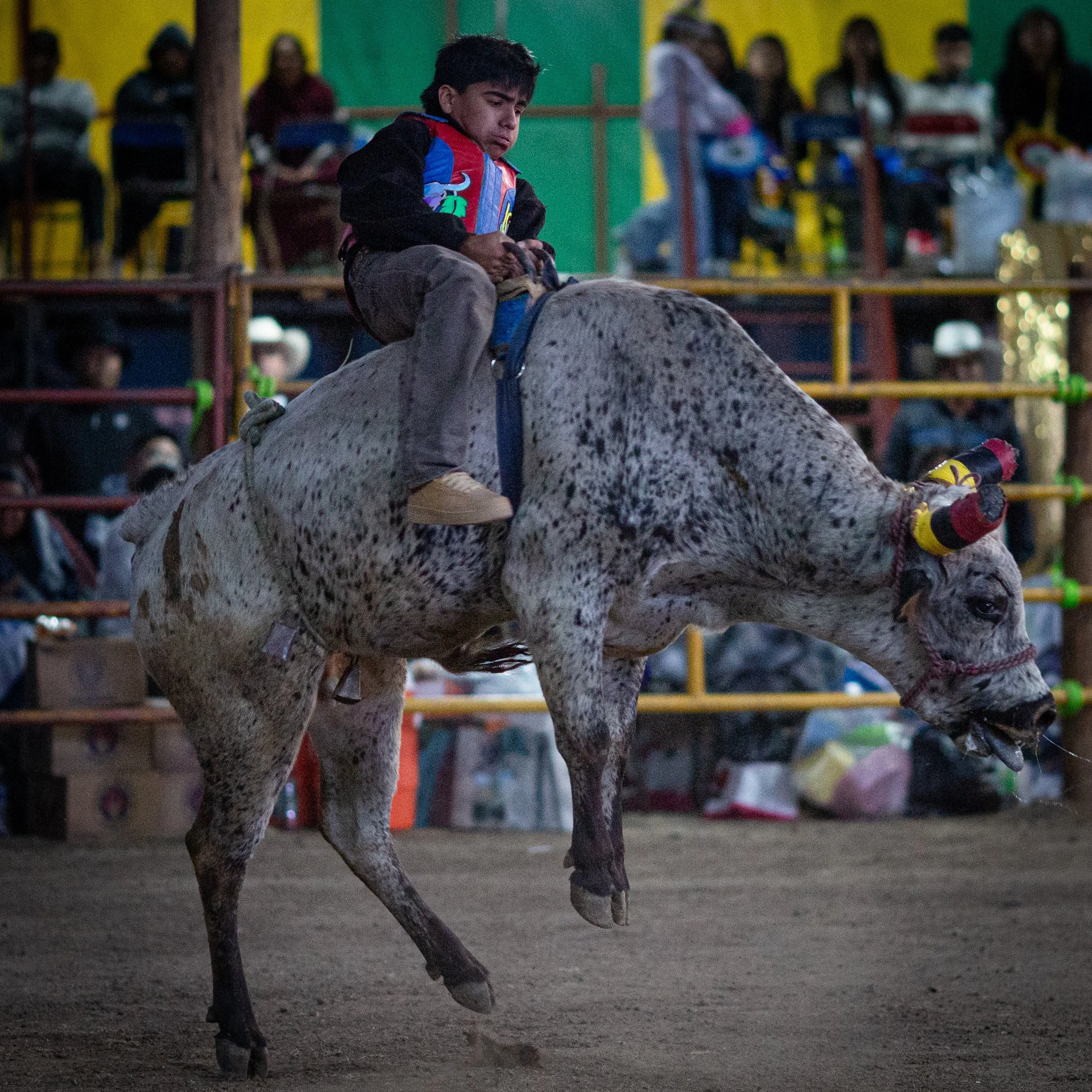 260126_Jaripeo_SanJuan_73.jpg