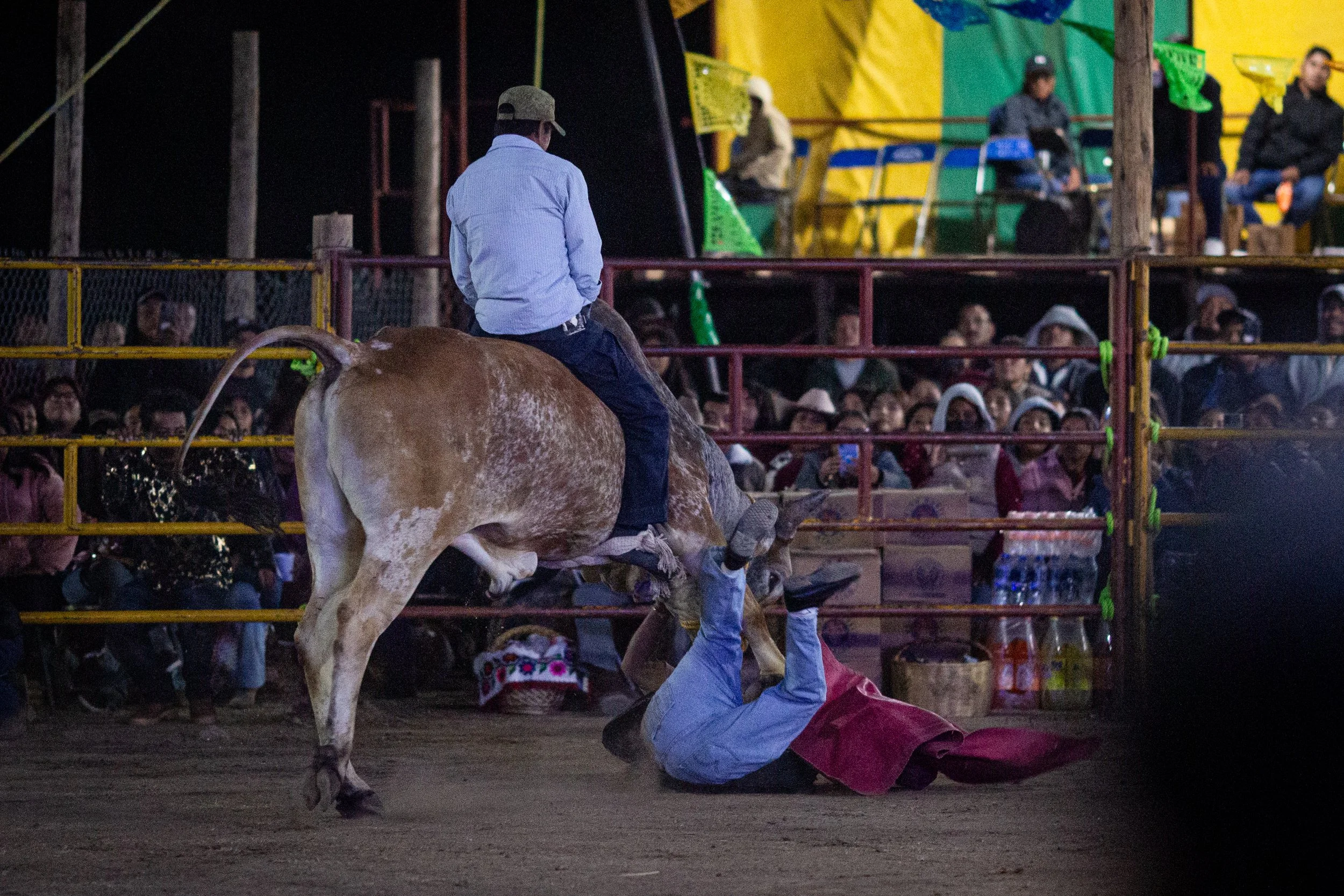 260126_Jaripeo_SanJuan_42.jpg
