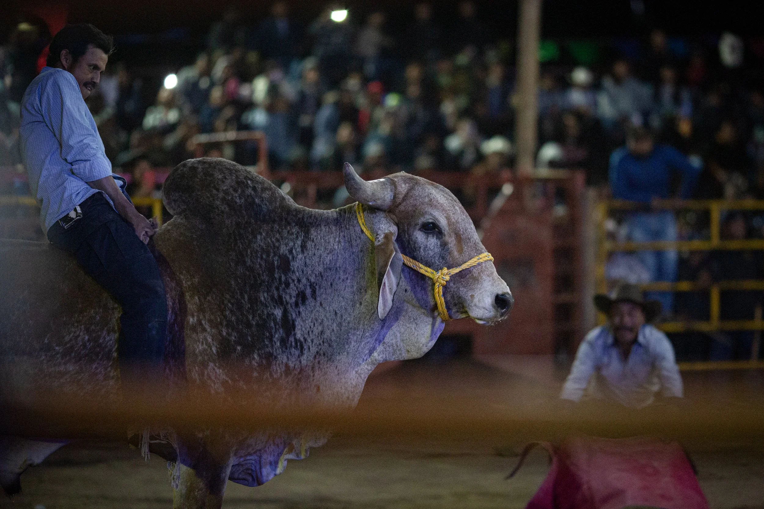 260126_Jaripeo_SanJuan_44.jpg