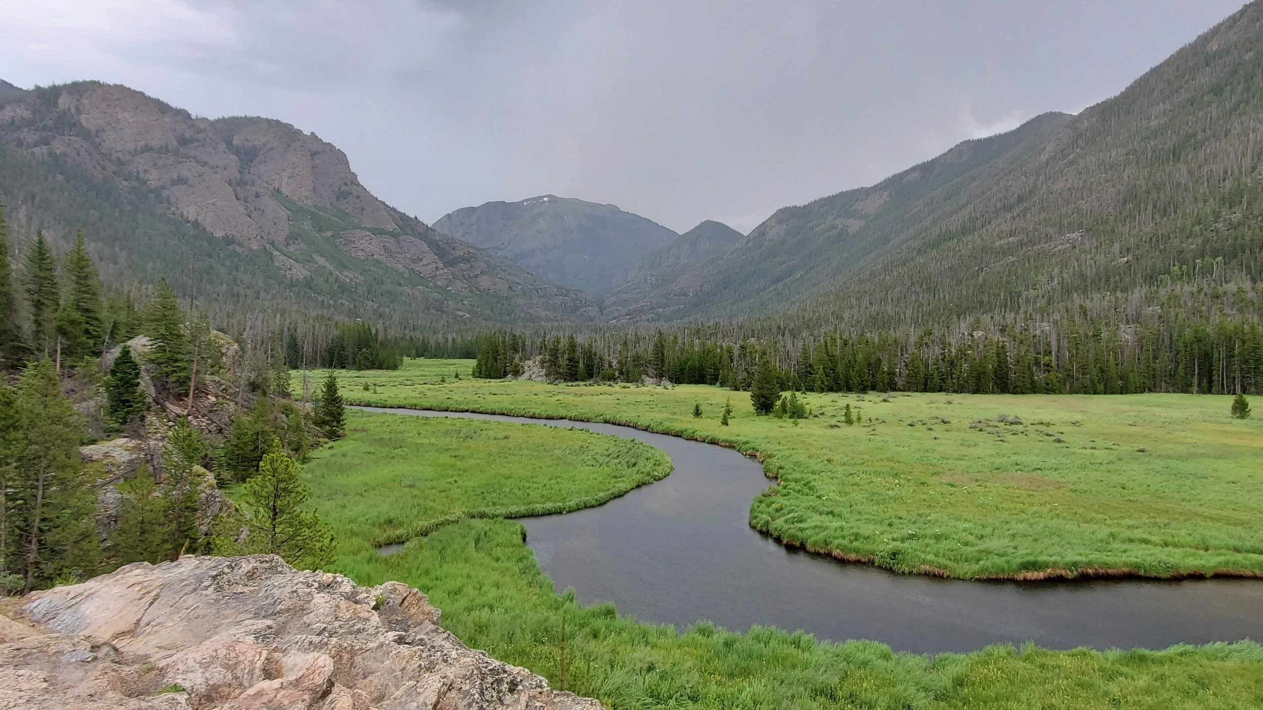 A scenic mountain landscape with a narrow river flowing through a lush green valley, surrounded by tall pine trees and rugged mountains in the background under a cloudy sky.