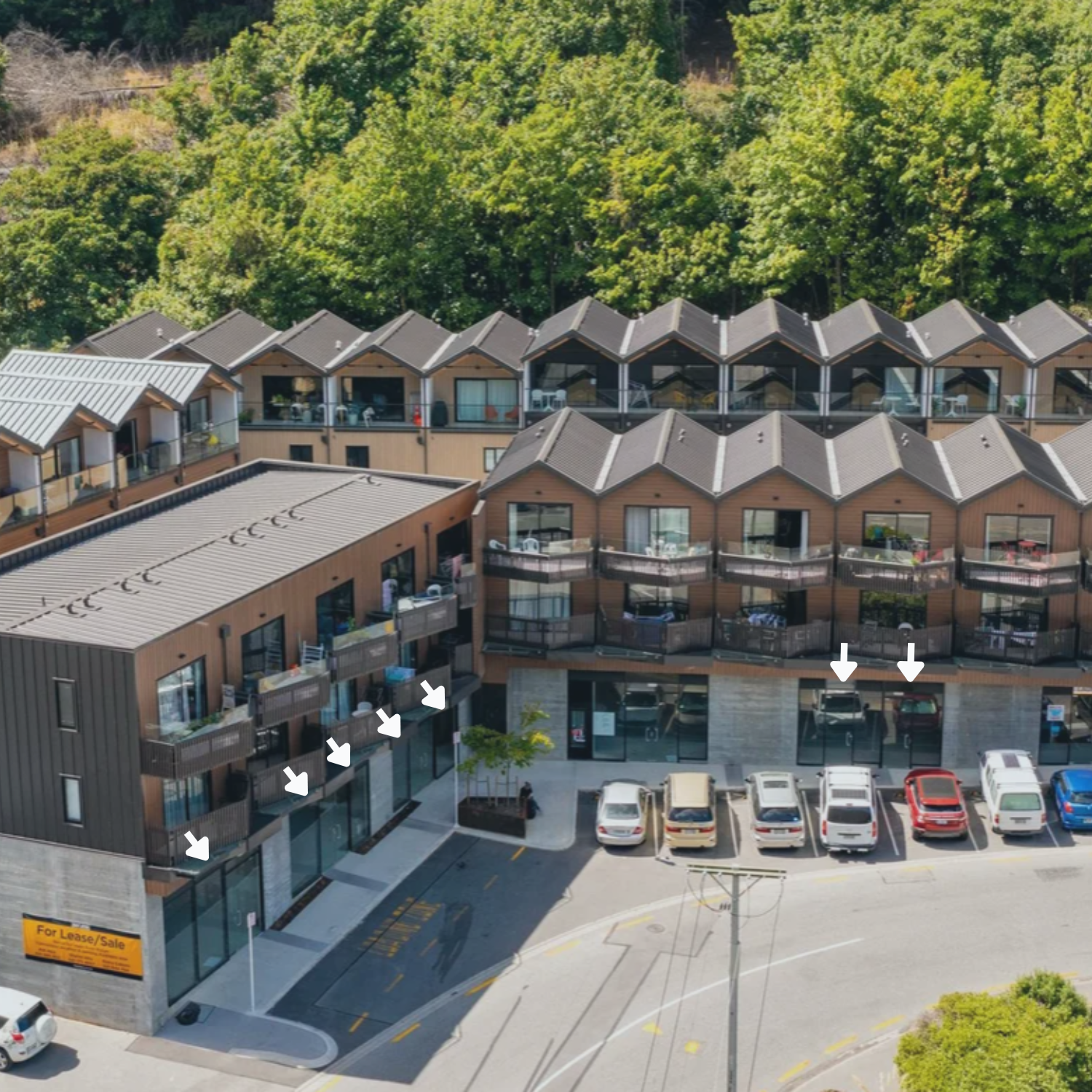 135 Hallenstein Street