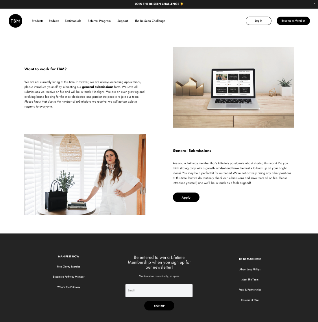 A simple webpage for accepting career applications on the website.