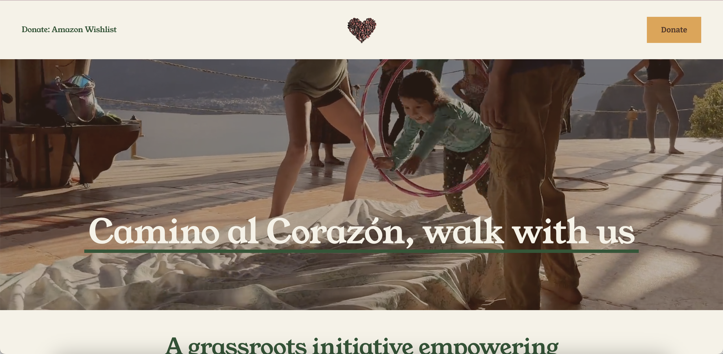 Simple website to promote the project and collect donations for 2025.