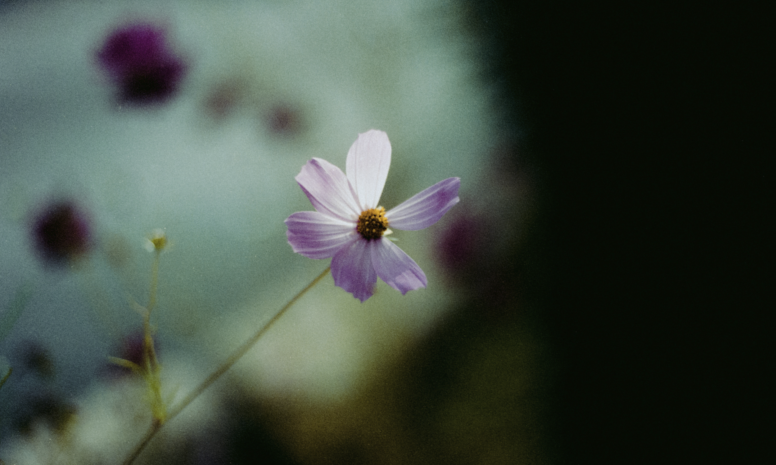 Screenshot 2026-04-06 at 11.00.47 PM.png