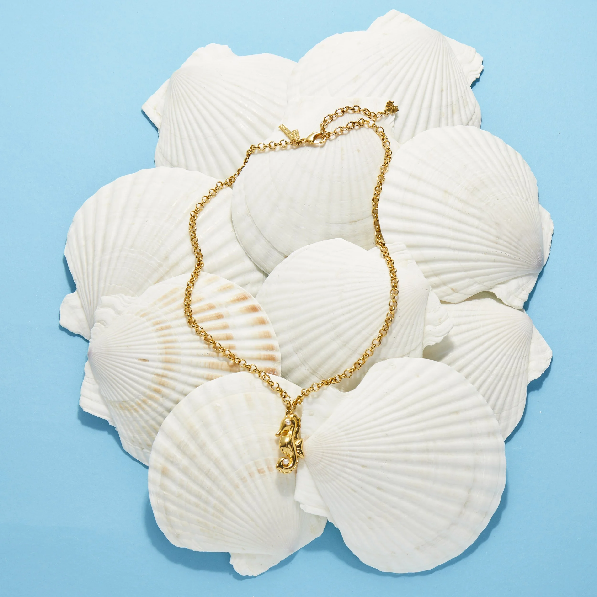 PF23D1_Creative 29.jpg