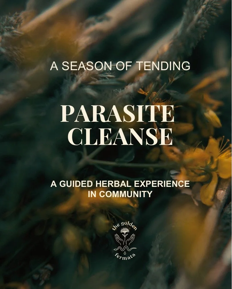 Parasite carousel - 1.jpeg