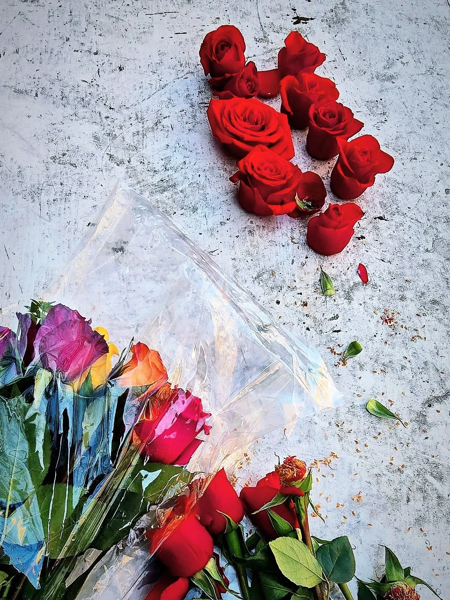 This Weekend with Kindred!

Saturday, April 26
Our first ever Mujerista Incubator Cohort is officially moving into the&nbsp;Accelerator&nbsp;phase of our Mujerista journey,&nbsp; to plan El Encuentro Mujerista!

We&rsquo;re diving into the logistics 