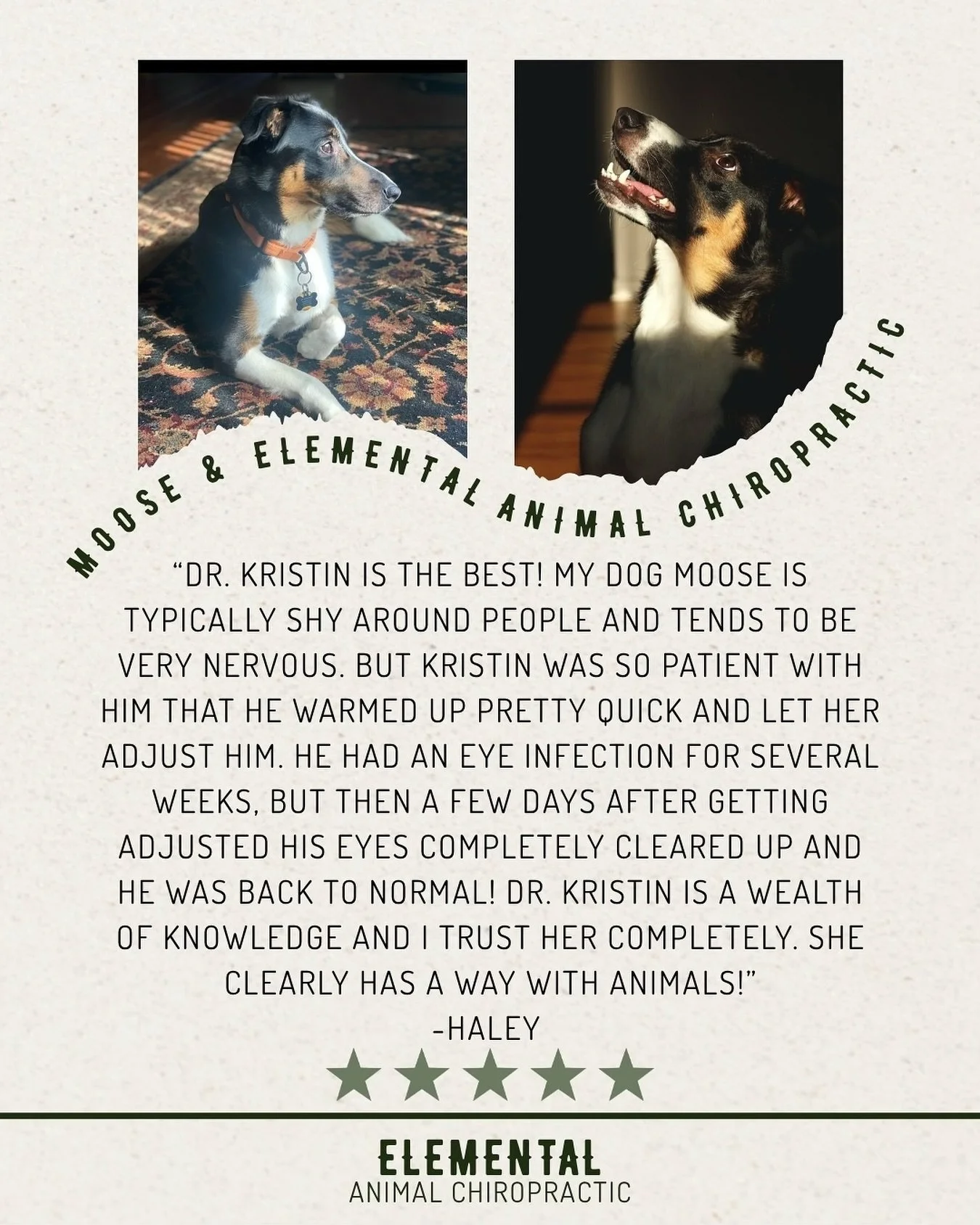 I will always be in awe of the body&rsquo;s ability to adapt. So honored to work with this sweet boy. Thank you for the trust, Haley! 💚