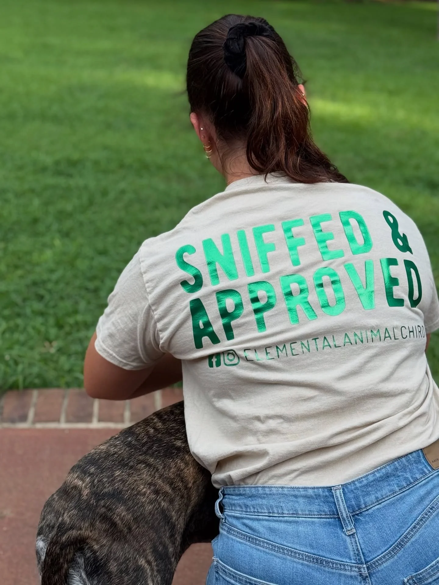 Your pet&rsquo;s official seal of approval ✅