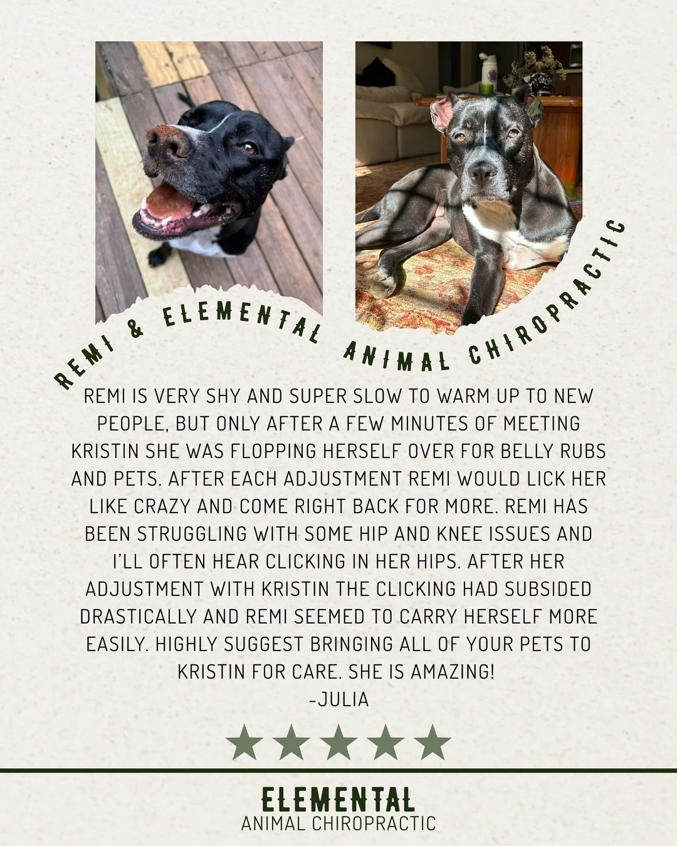 Another sweet pup finding ease 💚 Thank you for letting me be part of Remi&rsquo;s healing journey