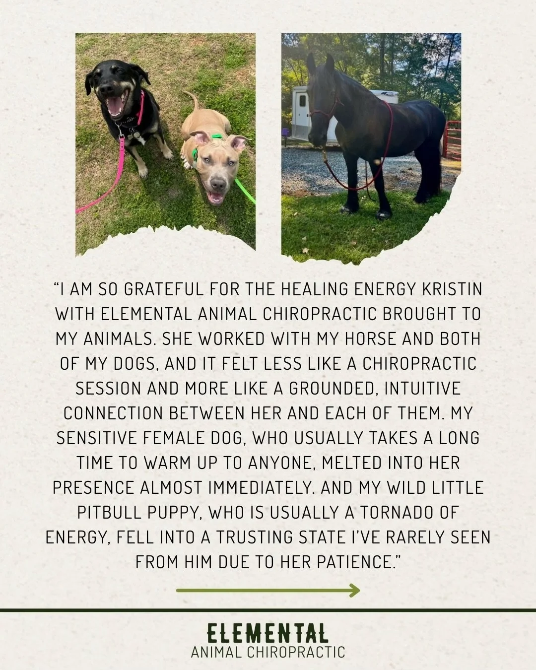 Three unique souls all met with exactly what they needed in that moment. It is always an honor. Thank you for the trust 💚