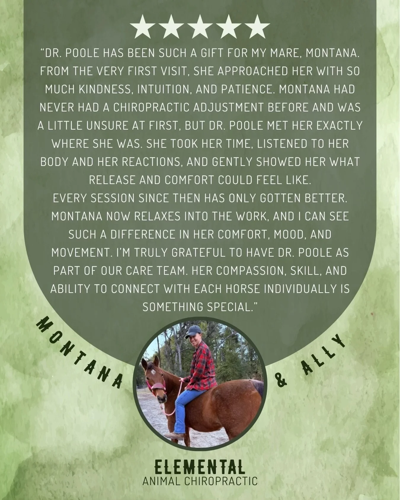 There is something so special about offering a horse their first adjustment! The trust, rhythm, and expression that unfolds as they progress through care will always keep me in awe. Thank you for the trust 💚