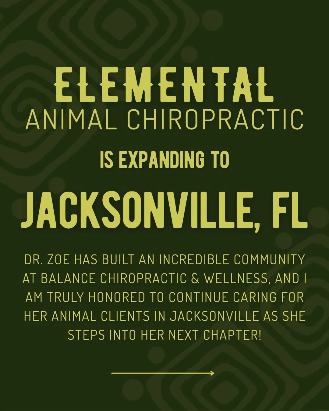See you soon, Jacksonville! 📍

With overwhelming gratitude and joy, I am so excited to announce that I will be adding Jacksonville to my travel routes to continue supporting Dr. Zoe&rsquo;s animal clients with gentle, intentional chiropractic 💚 

I