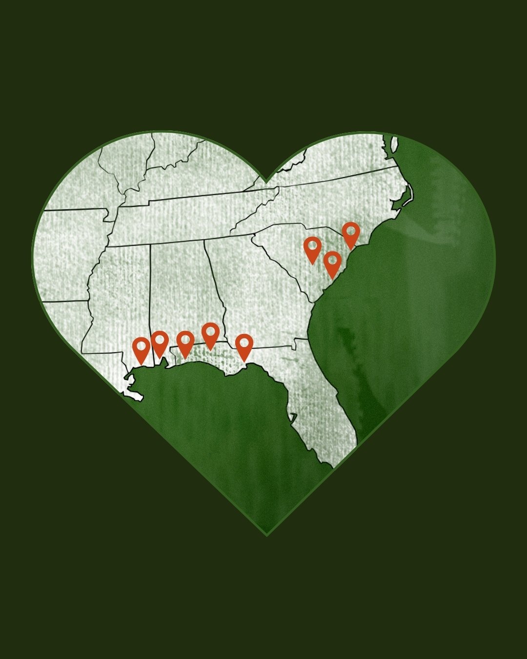 Animal Chiropractor Charleston SC and Pensacola FL. Equine (horses) & Small Animal Care (dogs and cats). Map of the southeastern United States with location pins on various cities.