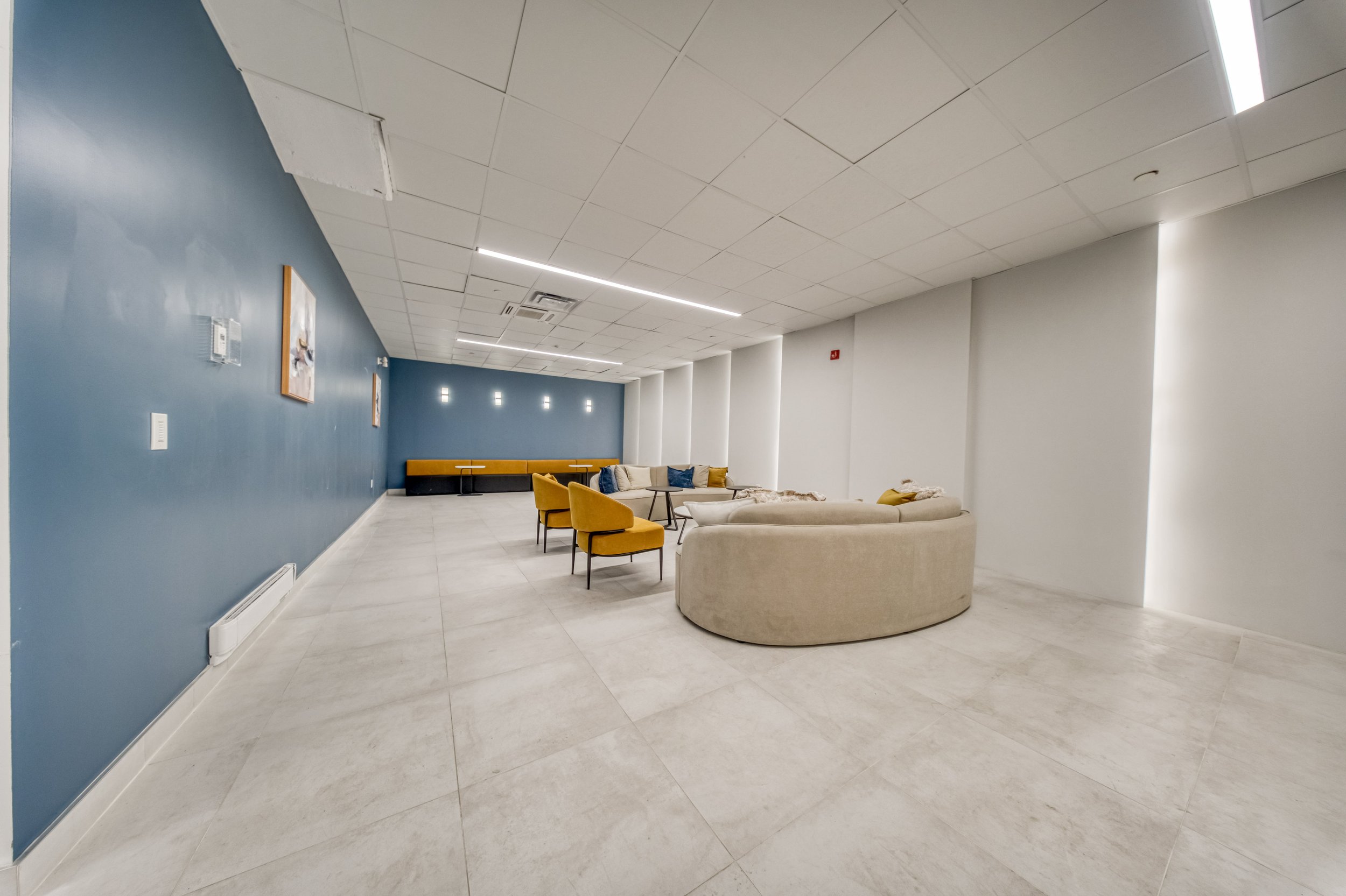 Online (033 of 036).jpg