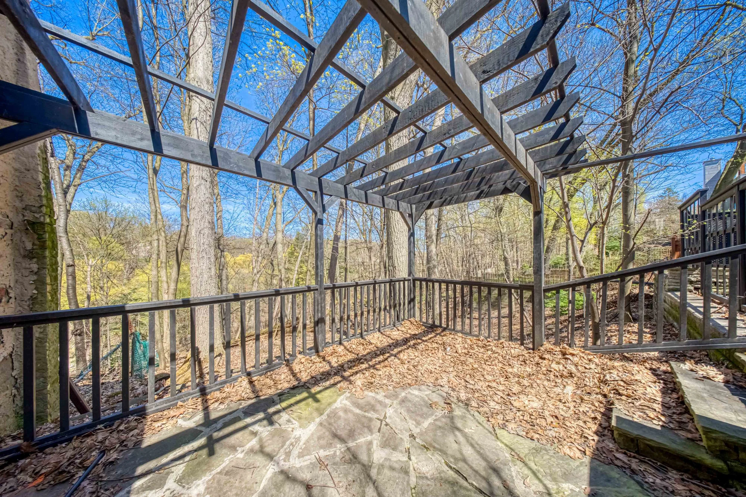 Online (053 of 066).jpg