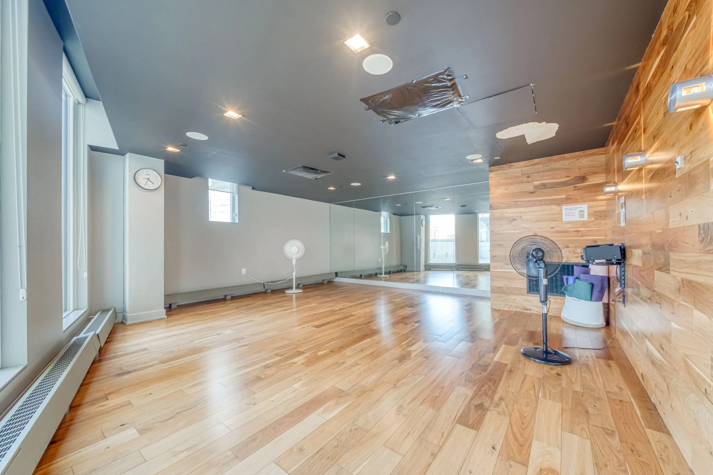 Online (045 of 046).jpg