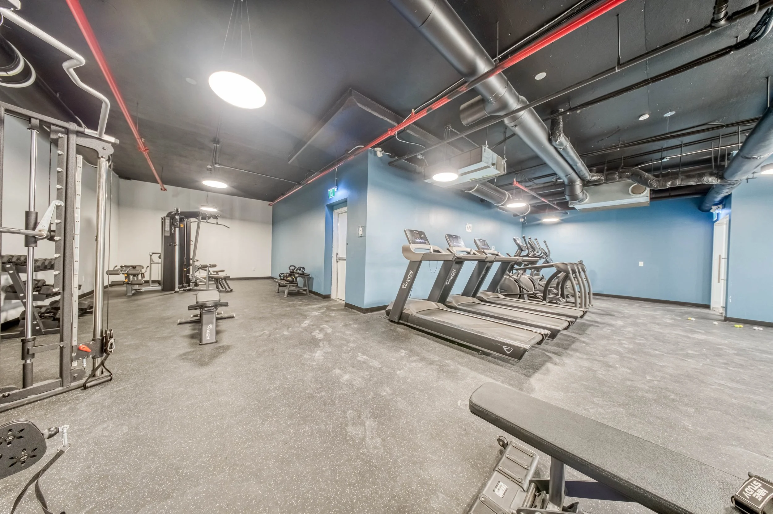 Online (035 of 036).jpg