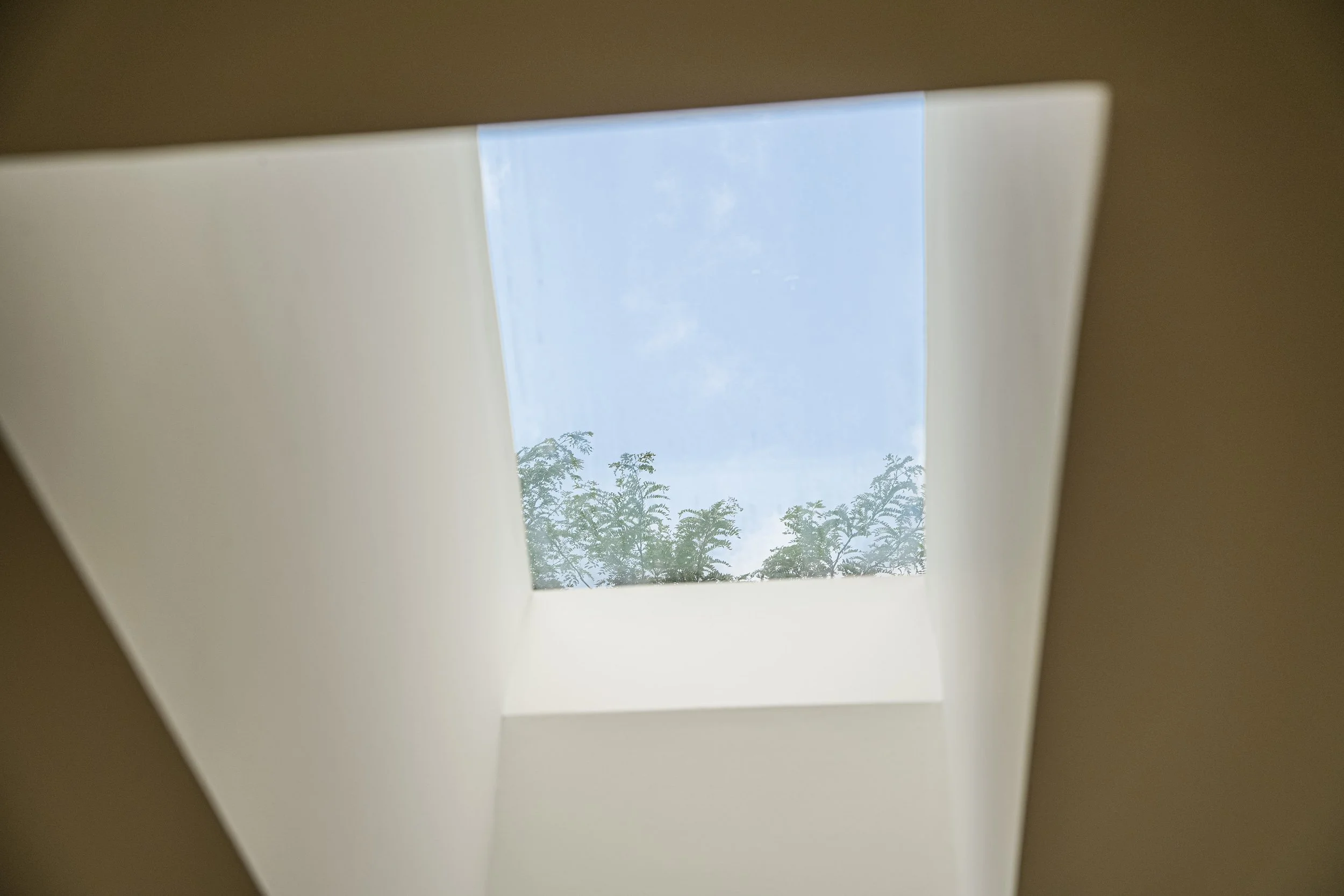 Online (029 of 054).jpg