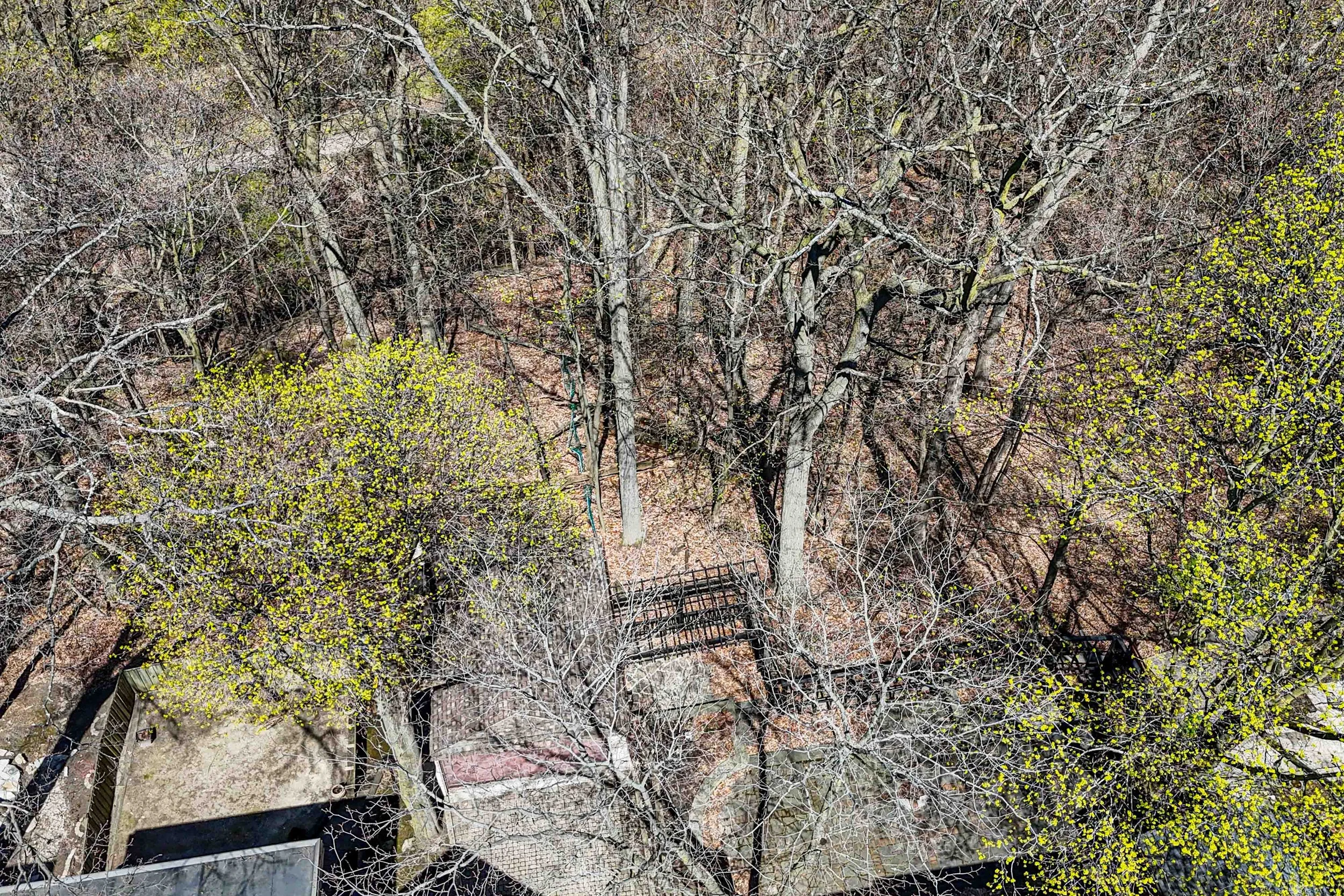 Online (066 of 066).jpg