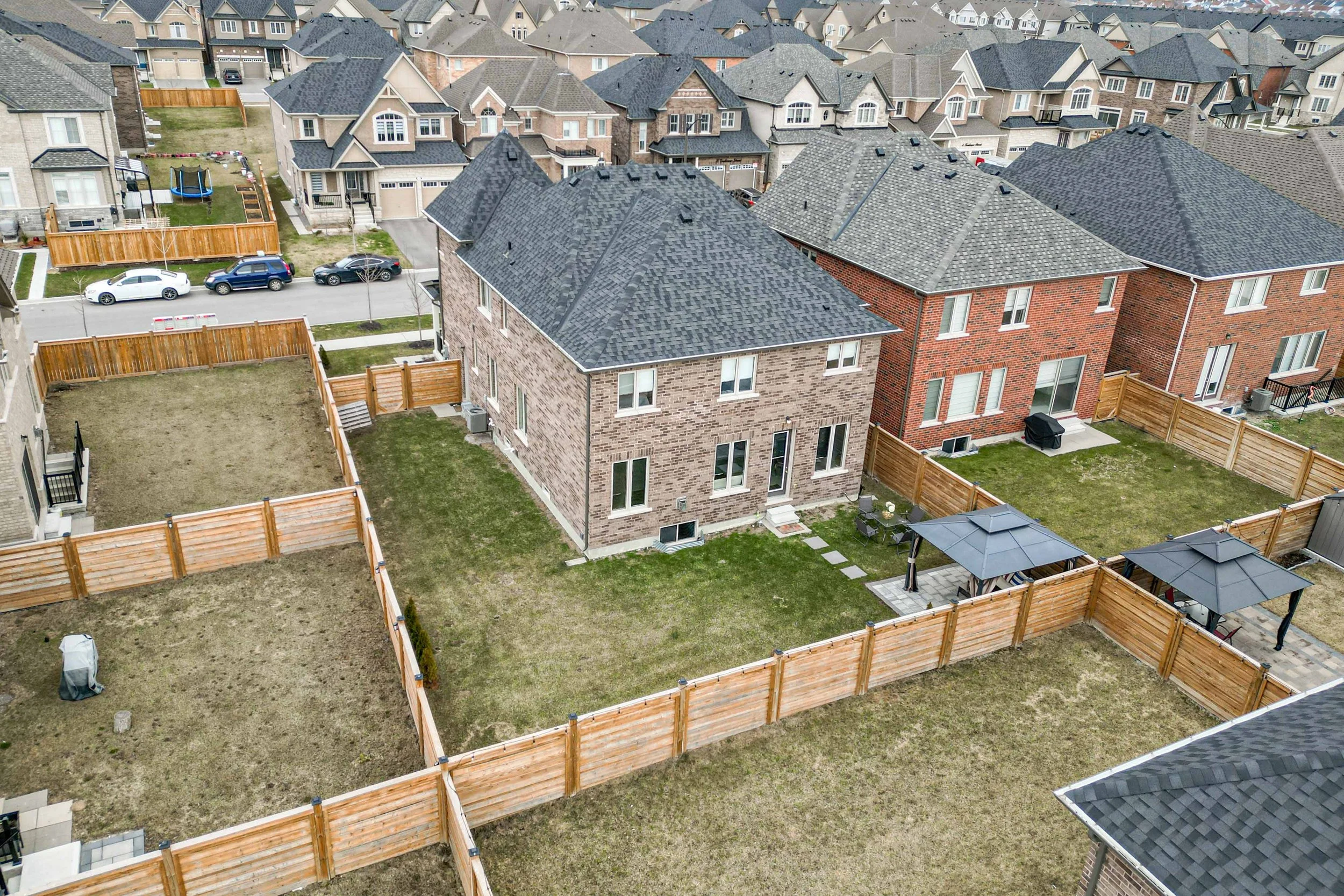 Online (048 of 054).jpg