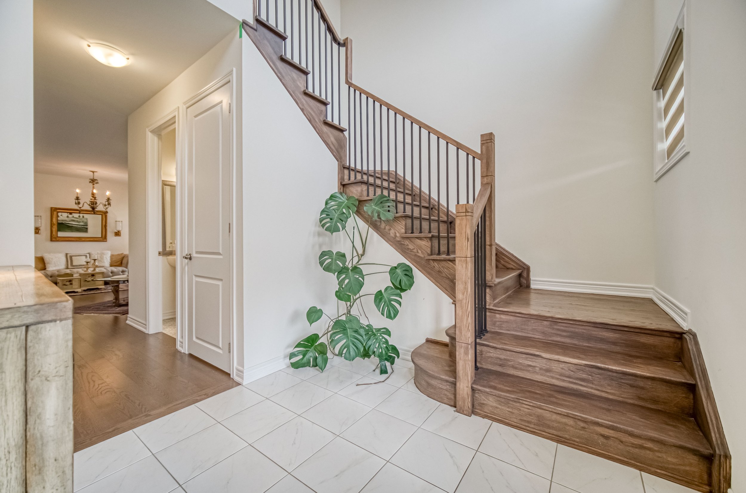 Online (005 of 054).jpg