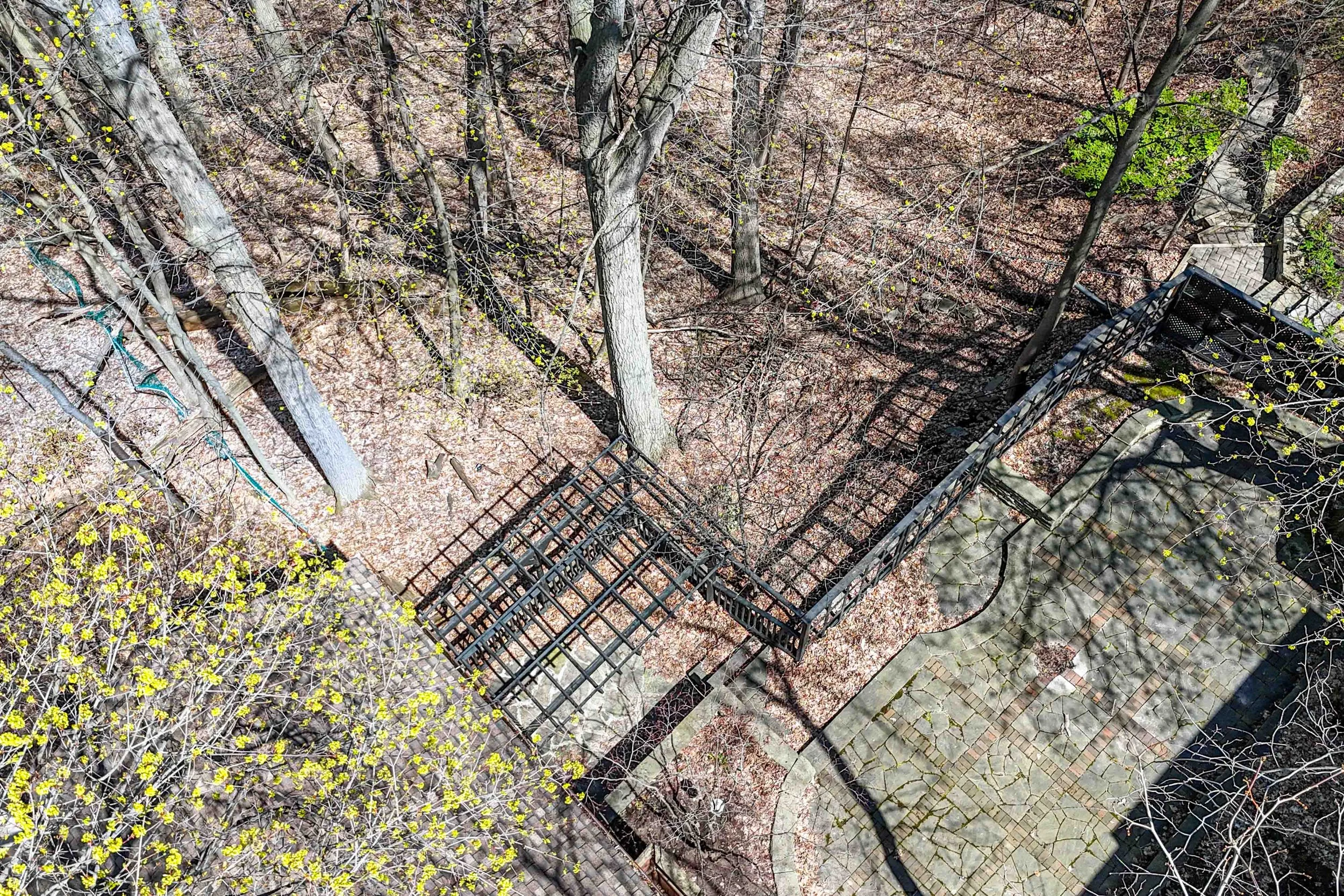 Online (065 of 066).jpg