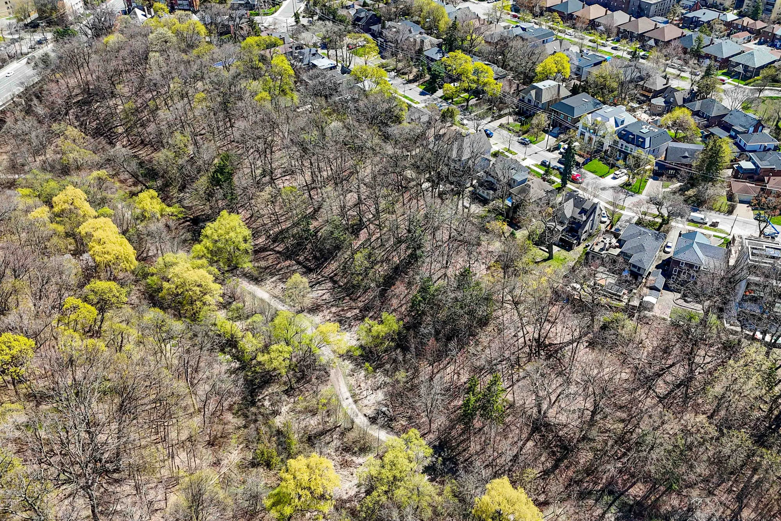 Online (062 of 066).jpg