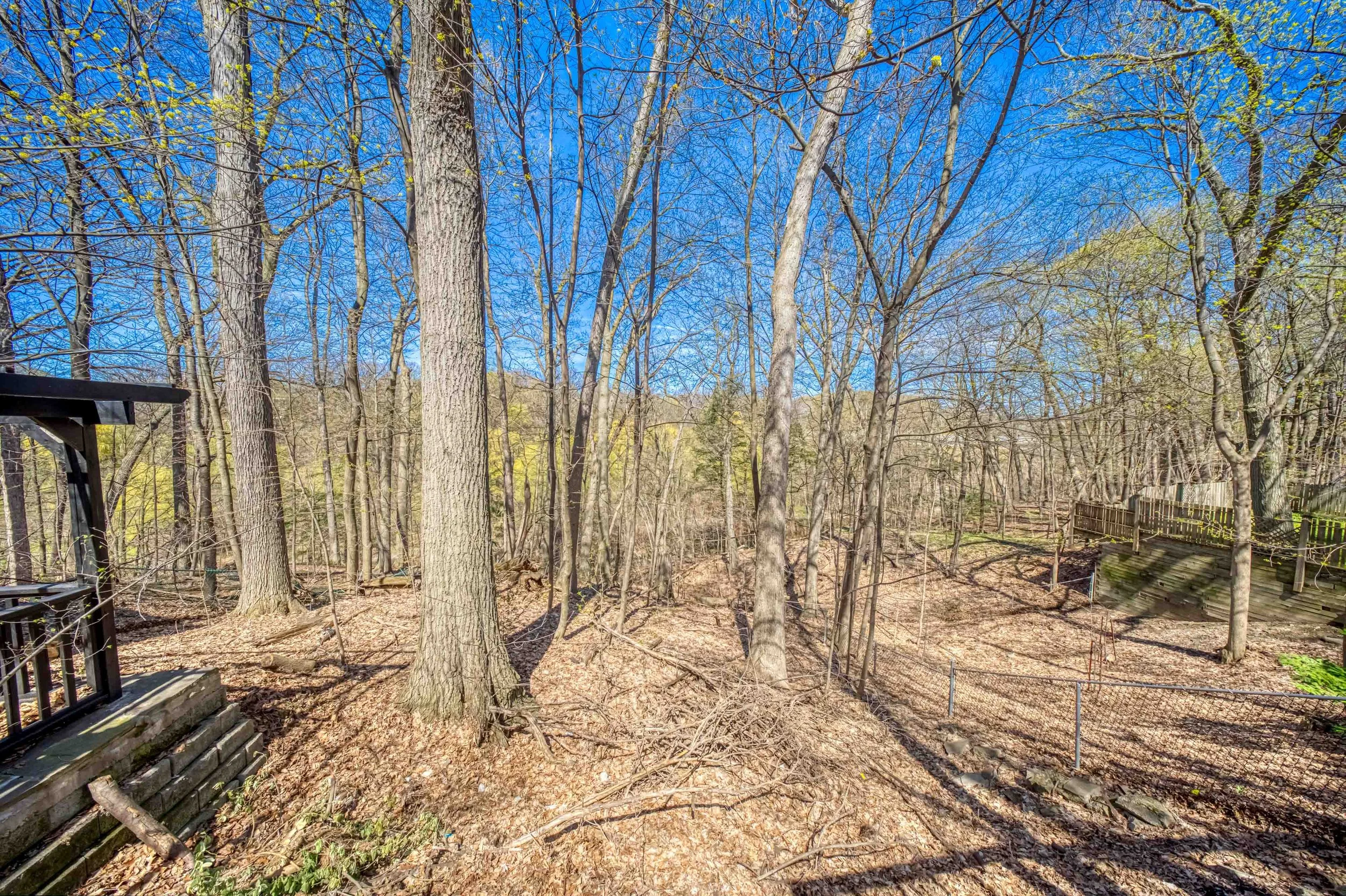 Online (054 of 066).jpg