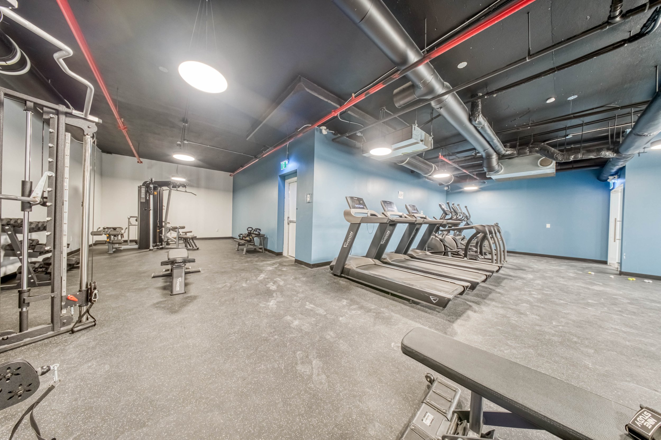 Online (035 of 036).jpg