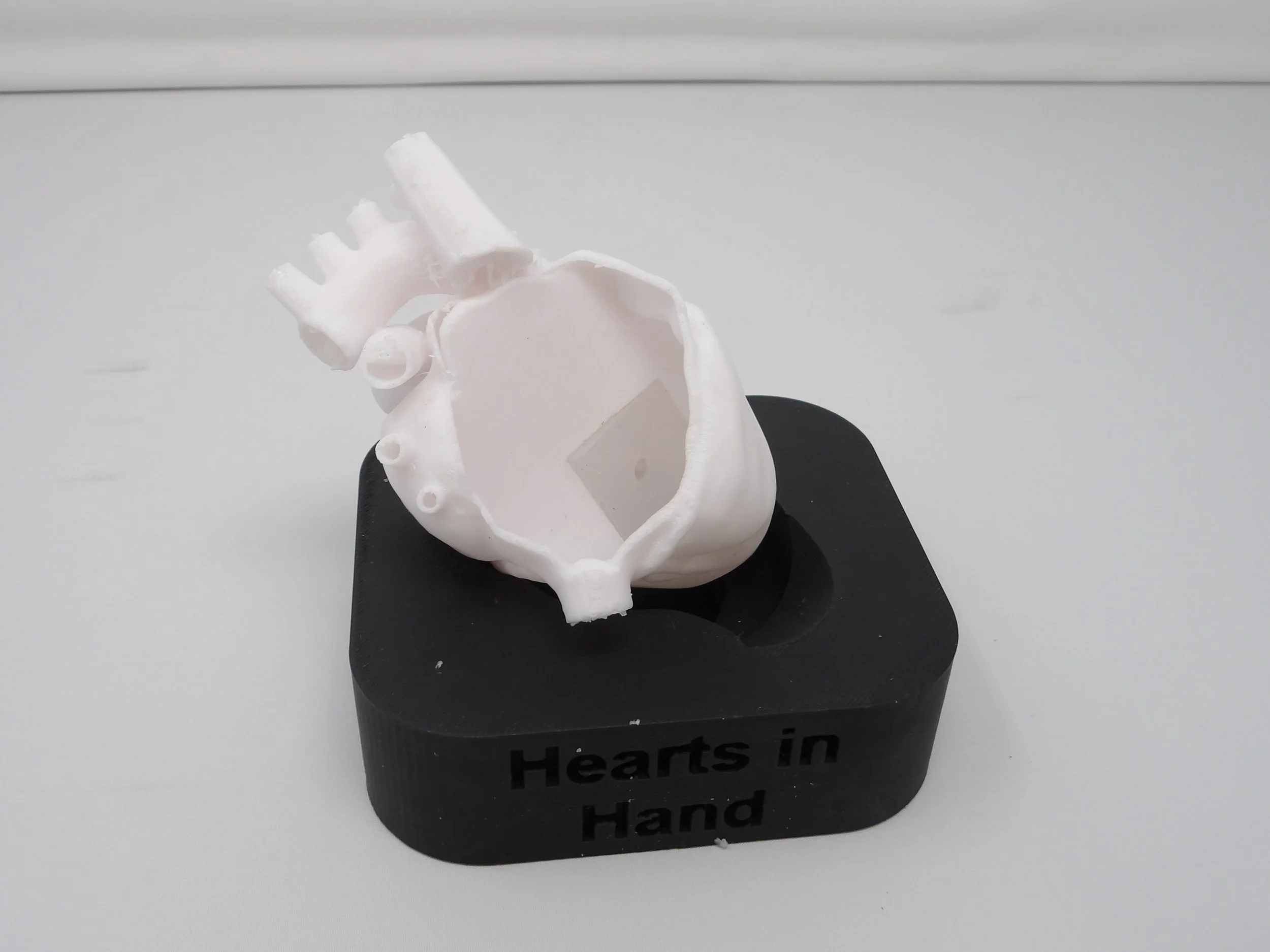 1.5 Scaled to pediatric 3D printed heart with replaceable silicone VSD with open right atrium access