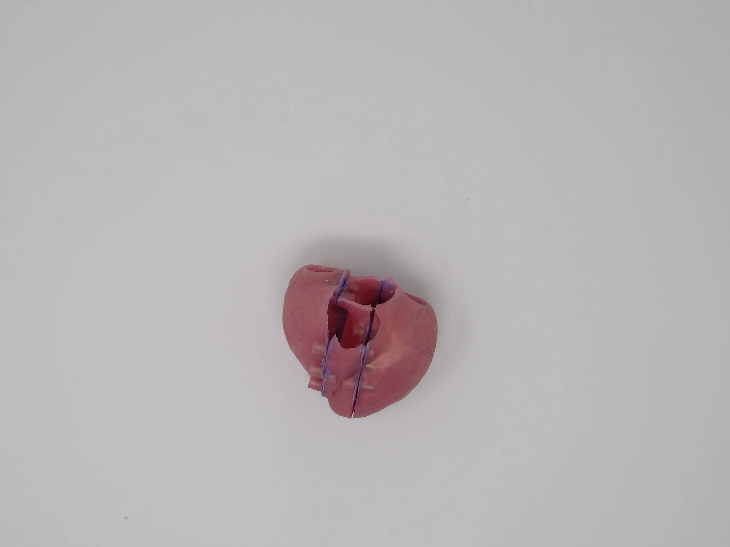 100_0073.JPG