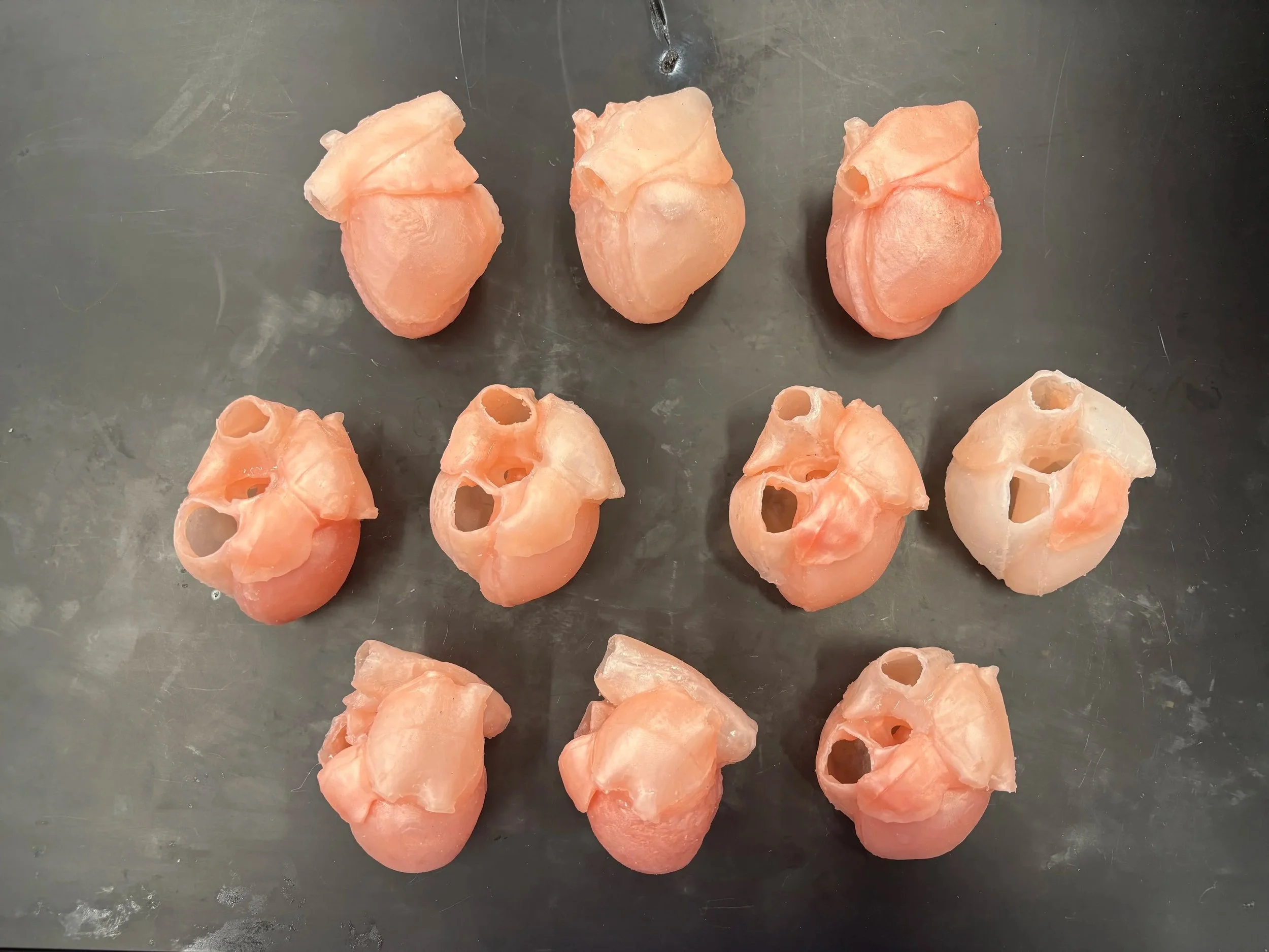 2.3 Fully silicone parts and assembly heart with VSD with closed right ventricle and tricuspid valve