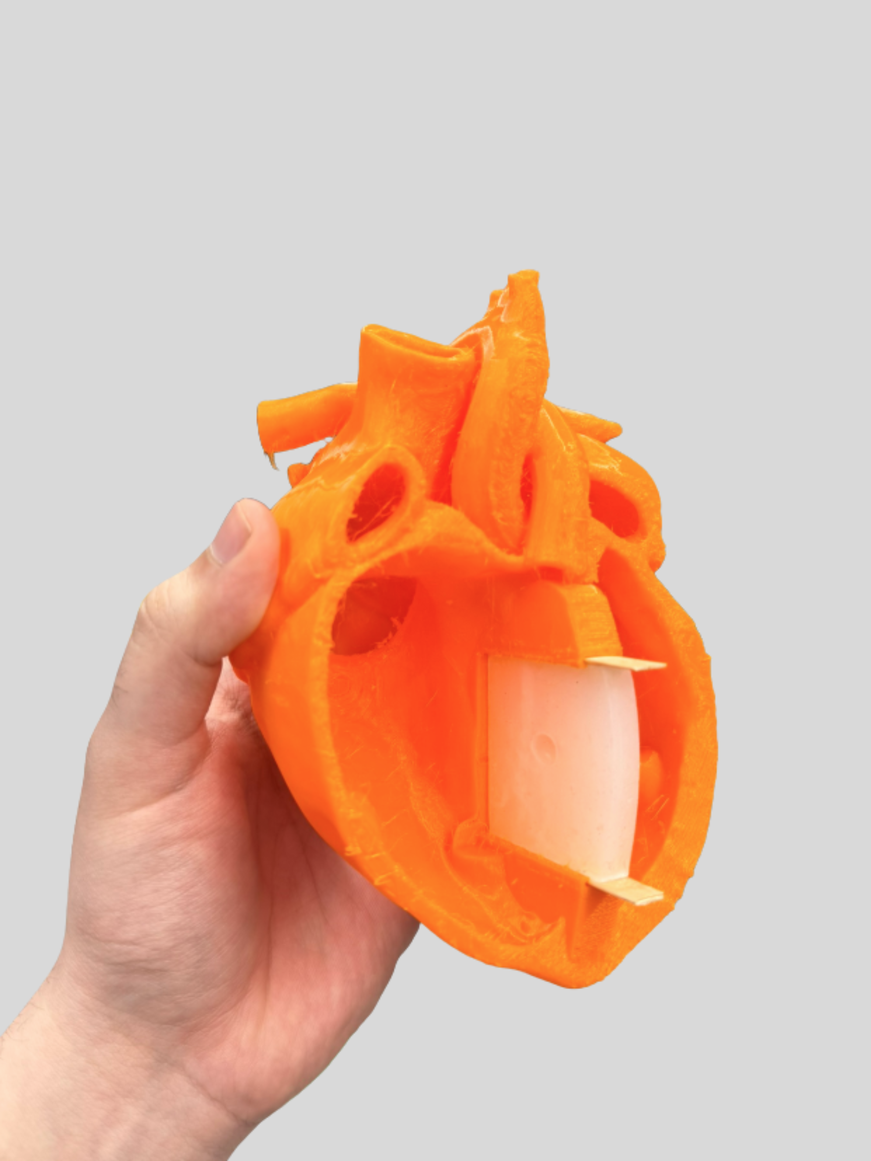 1.2 Scaled to adult life-size 3D printed heart with replaceable silicone VSD