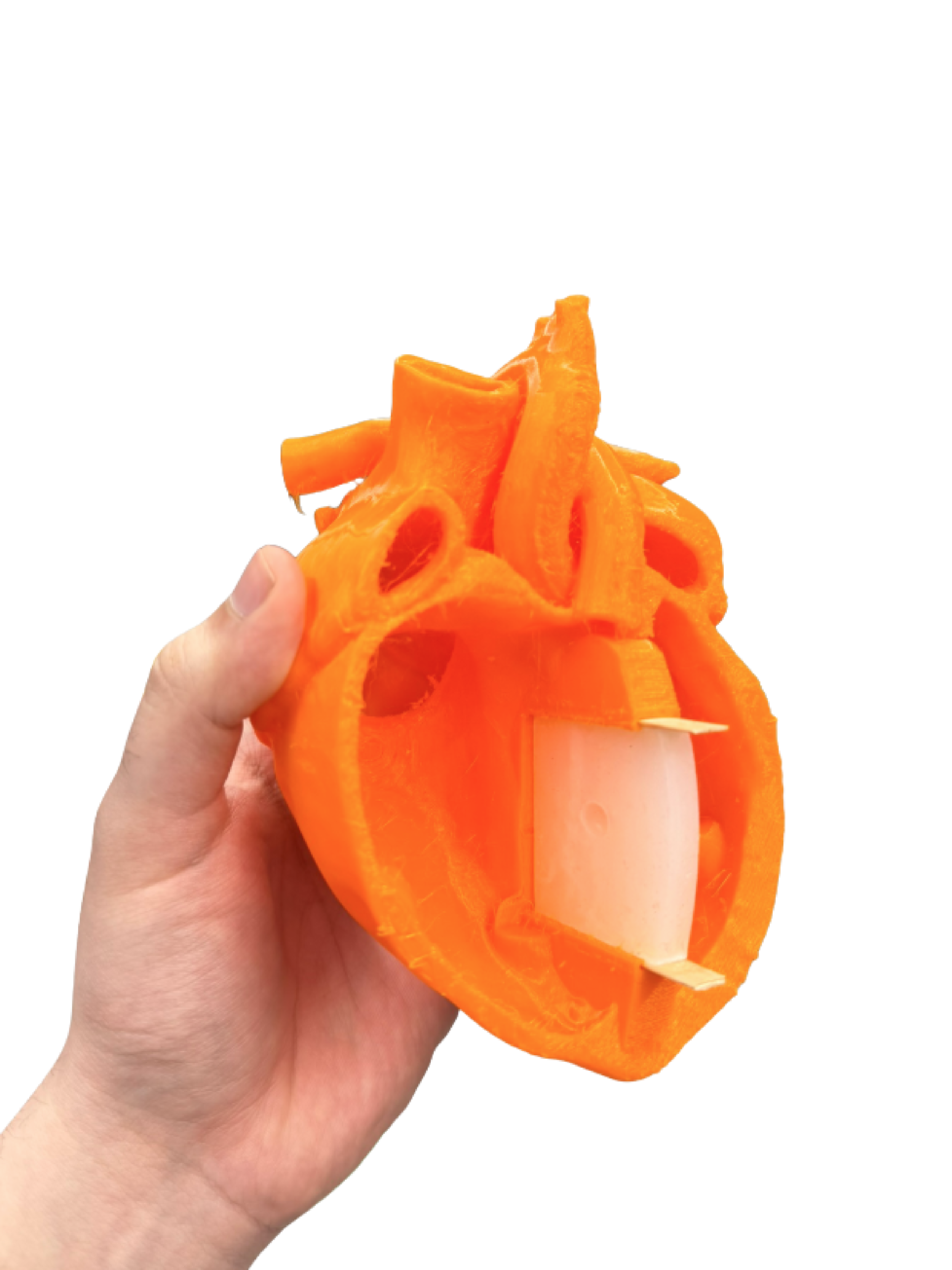 Untitled design (1).png