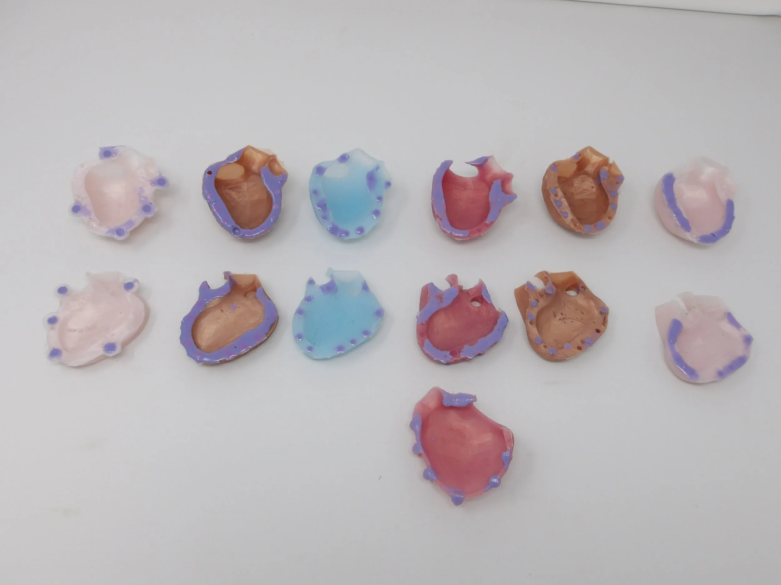 3.3 Iterated silicone parts and assembly heart with VSD, attaching magnets with stiffer silicone