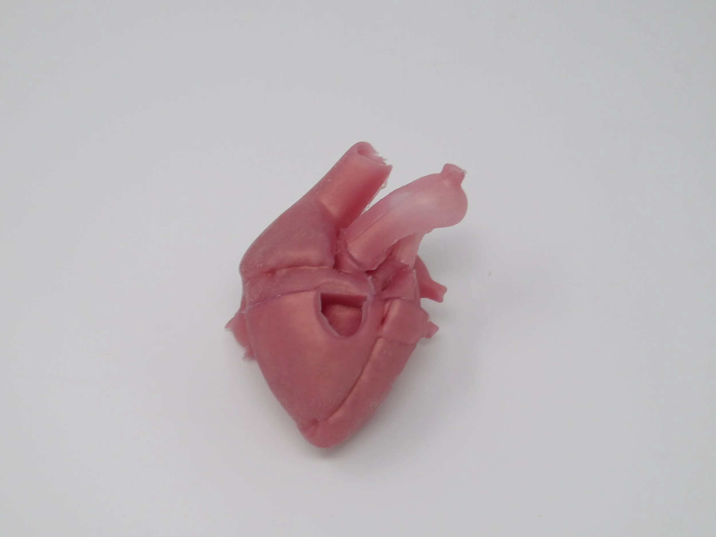 4.1 Fully silicone parts and assembly heart with Tetralogy of Fallot
