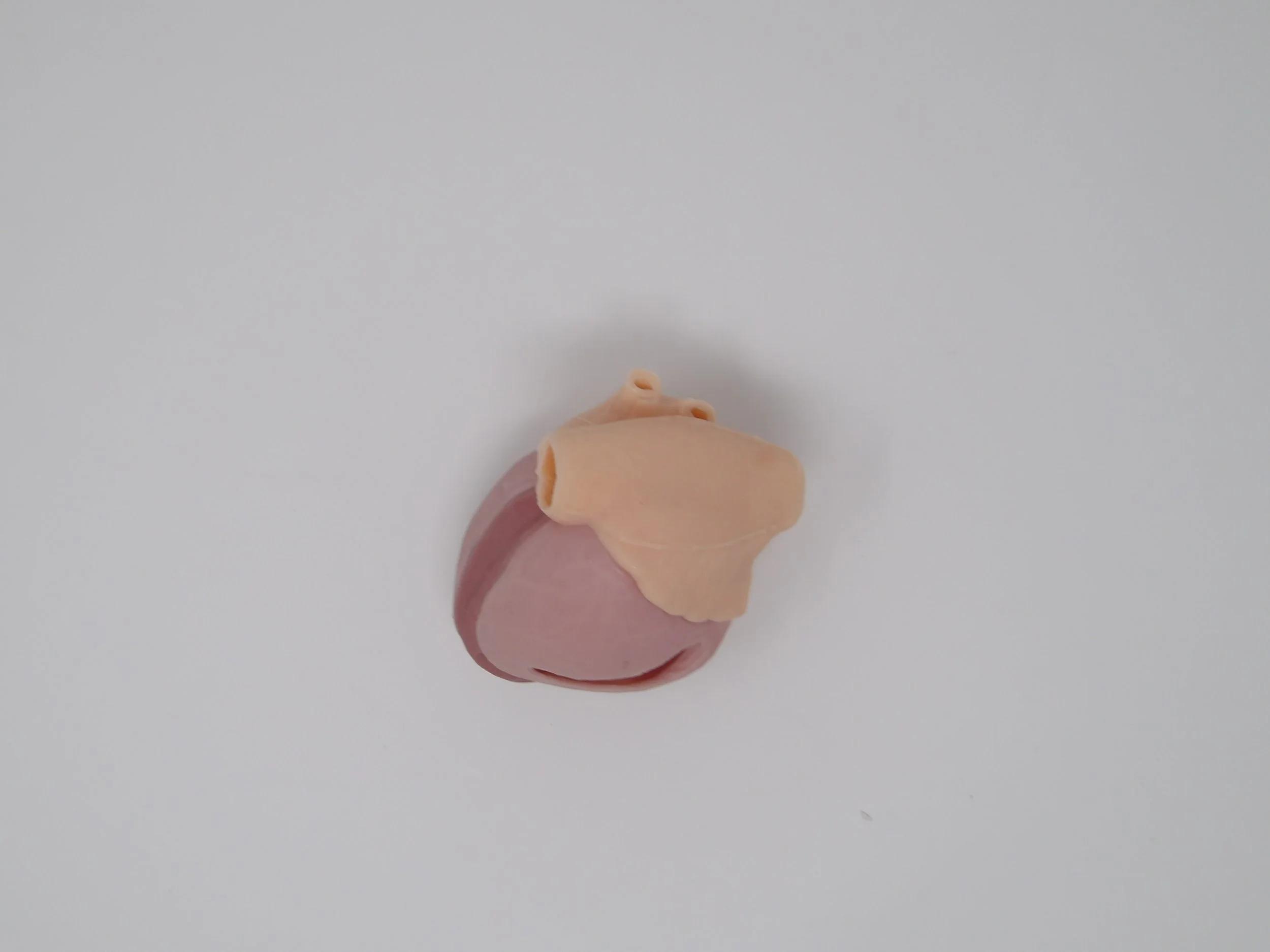 100_0040.JPG